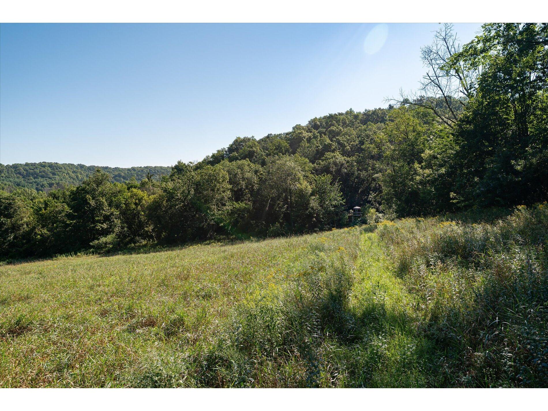 23509 County Dayton WI 53581 1938715 image20