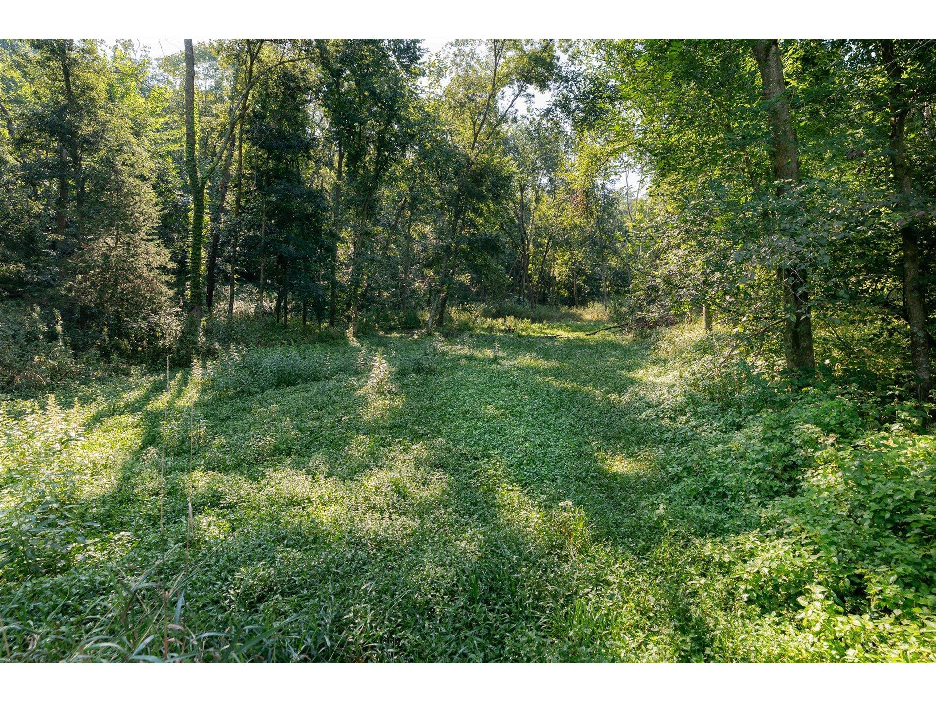 23509 County Dayton WI 53581 1938715 image21