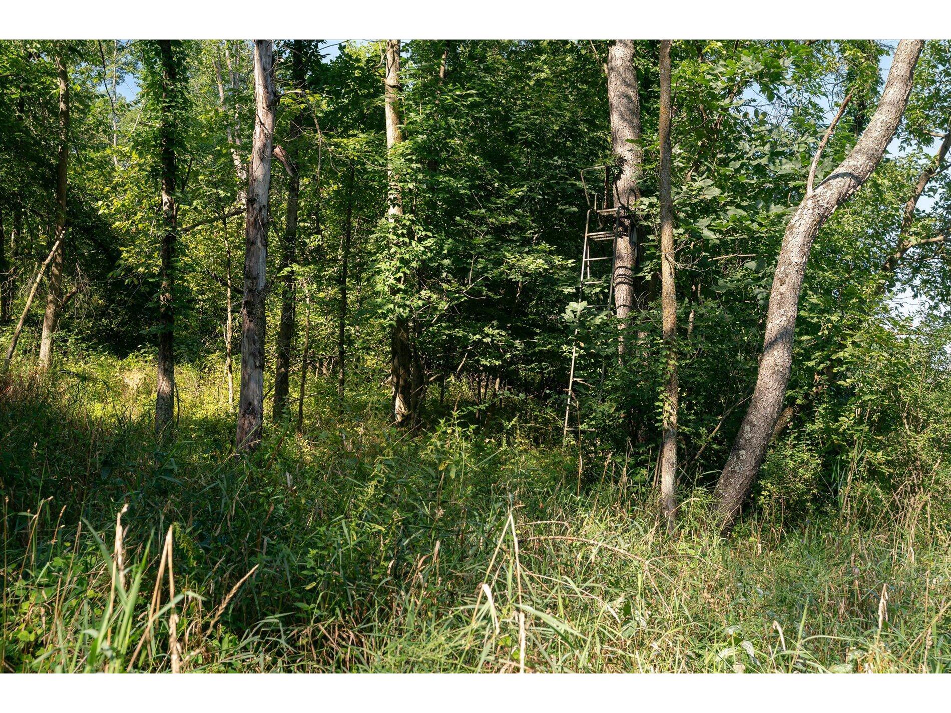 23509 County Dayton WI 53581 1938715 image24