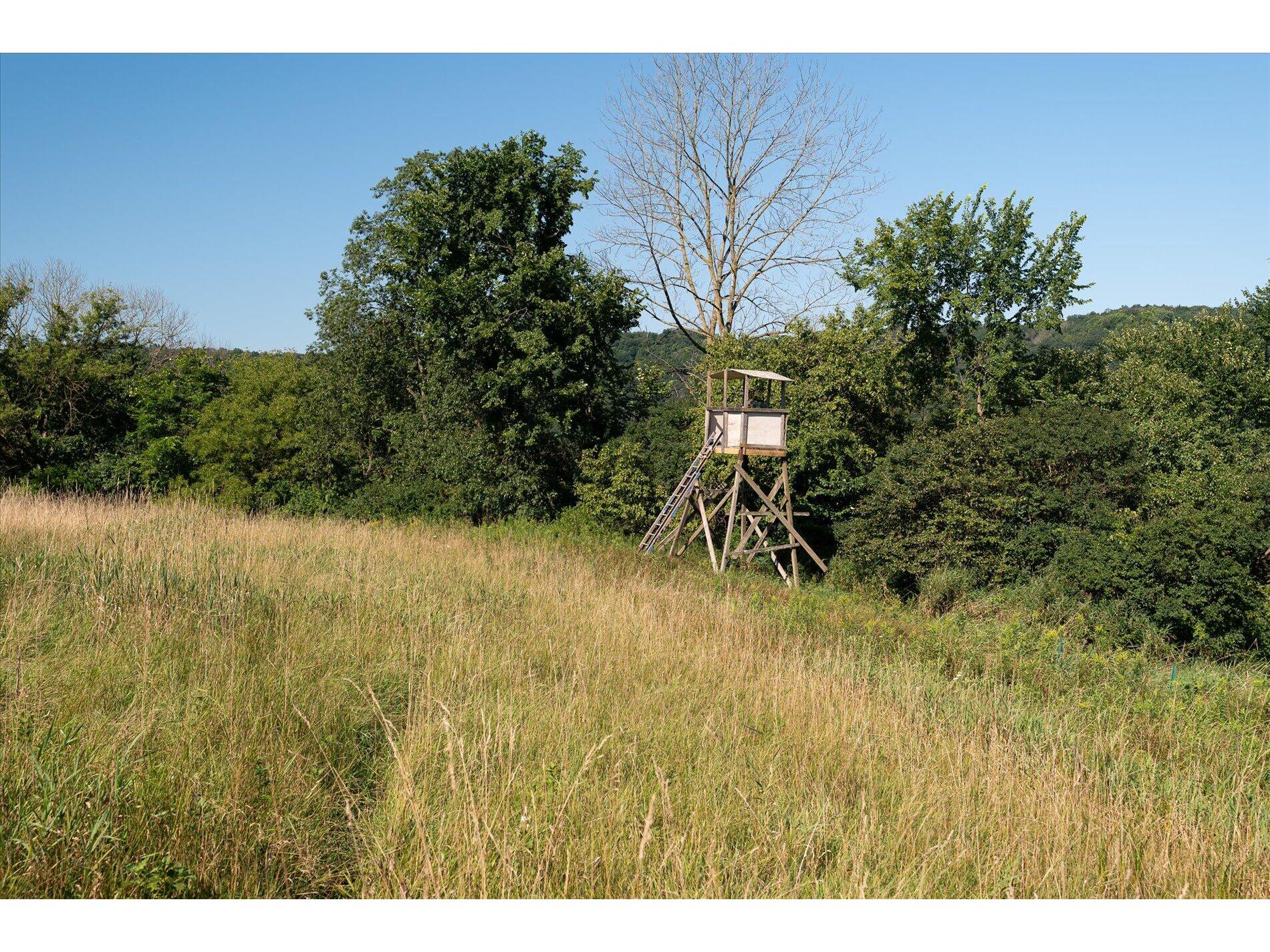 23509 County Dayton WI 53581 1938715 image29