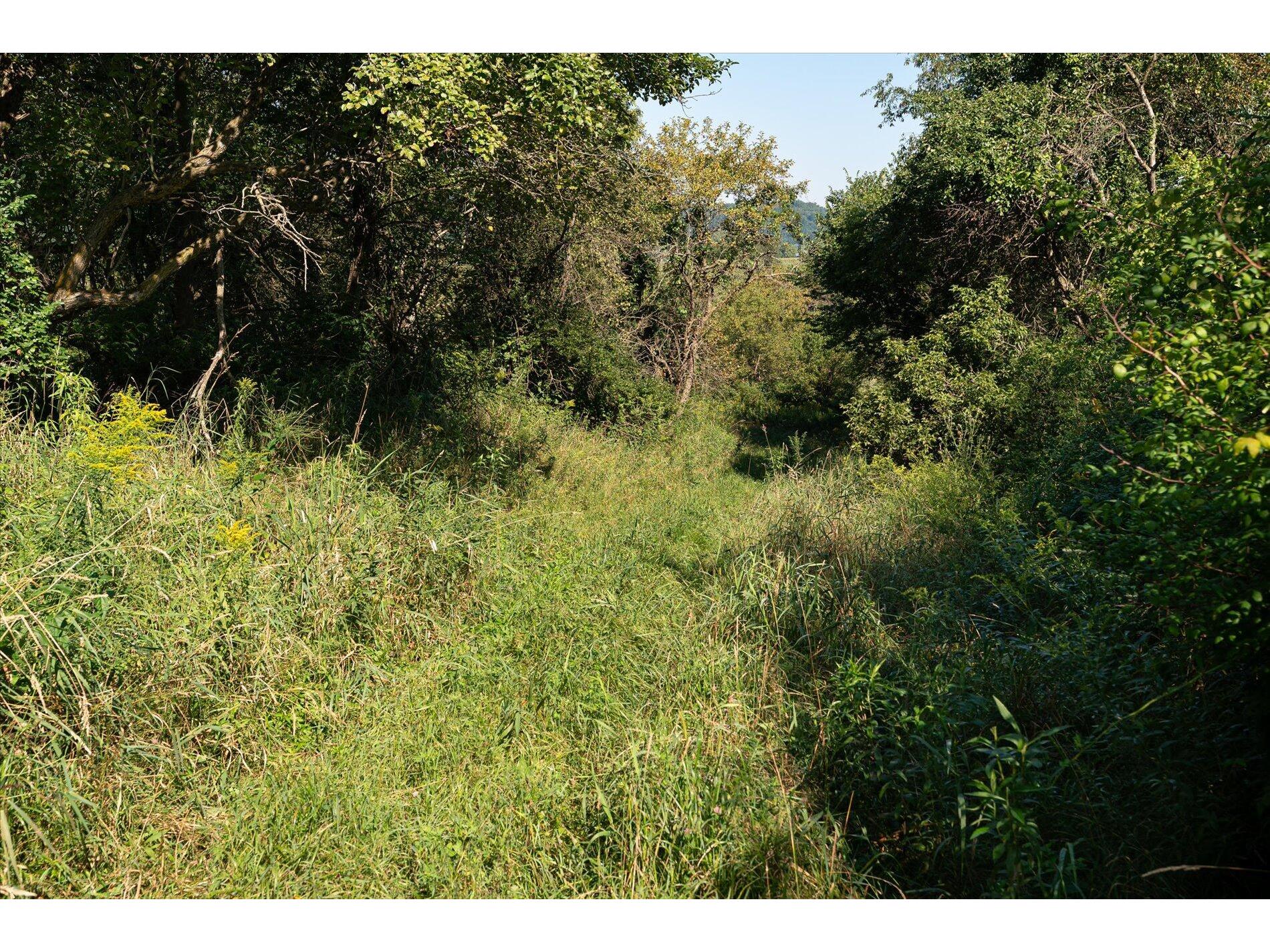 23509 County Dayton WI 53581 1938715 image30