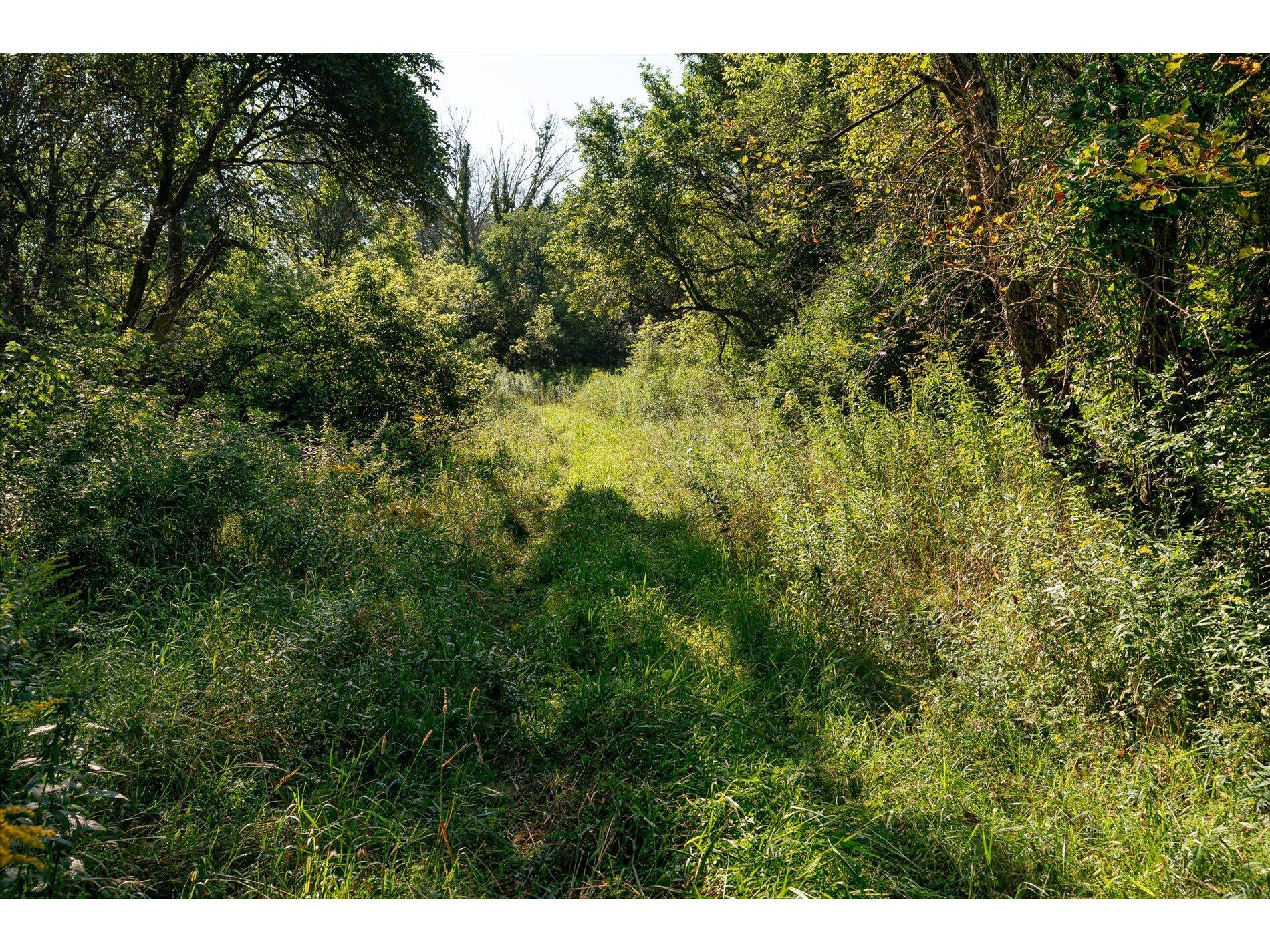 23509 County Dayton WI 53581 1938715 image31