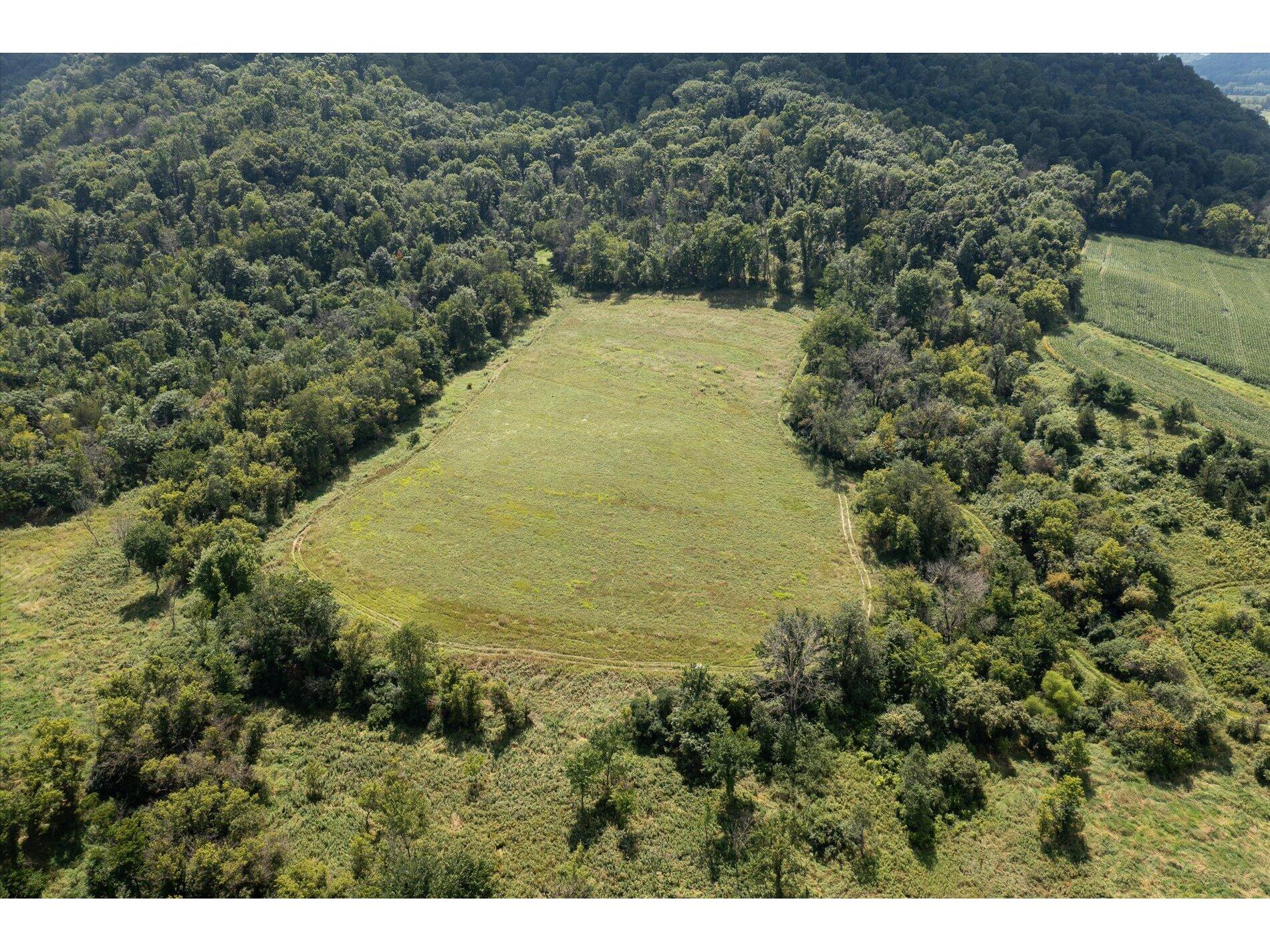 23509 County Dayton WI 53581 1938715 image8