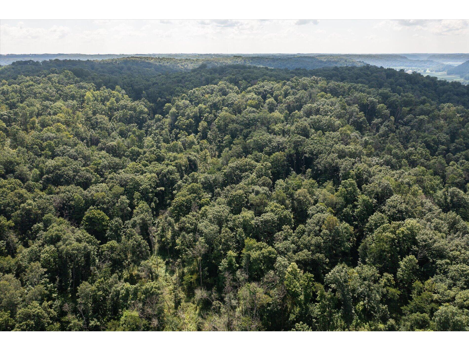 23509 County Dayton WI 53581 1938715 image9