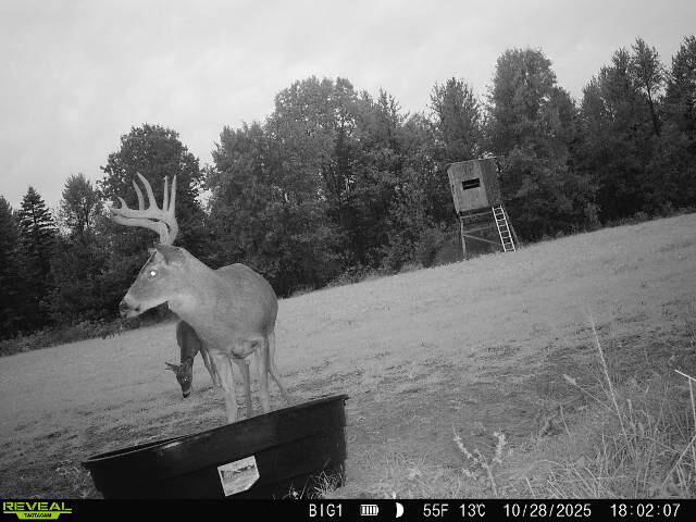 2358 State Hwy 71 Little Falls WI 54656 1959361 image11