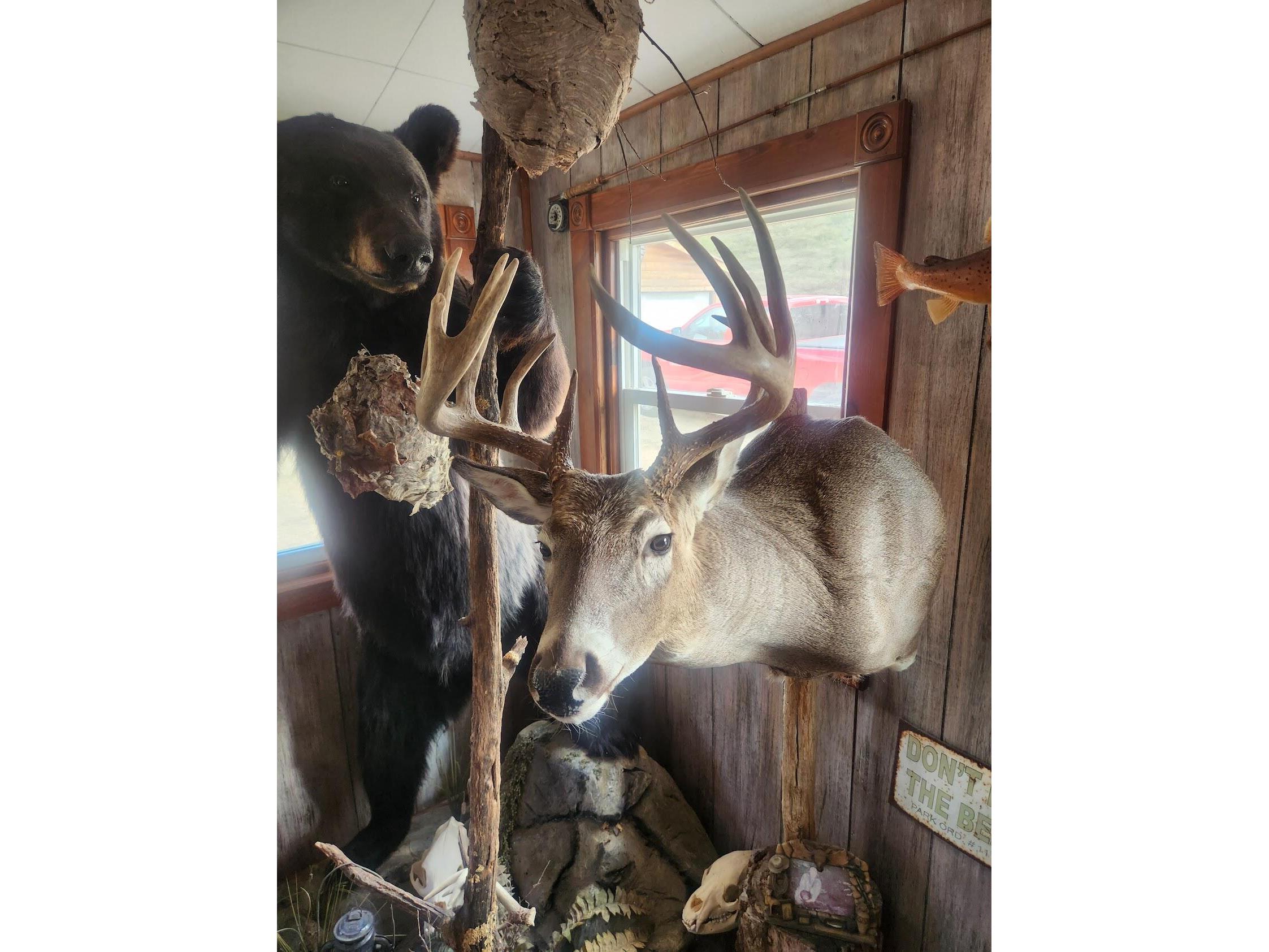 2358 State Hwy 71 Little Falls WI 54656 1959361 image29