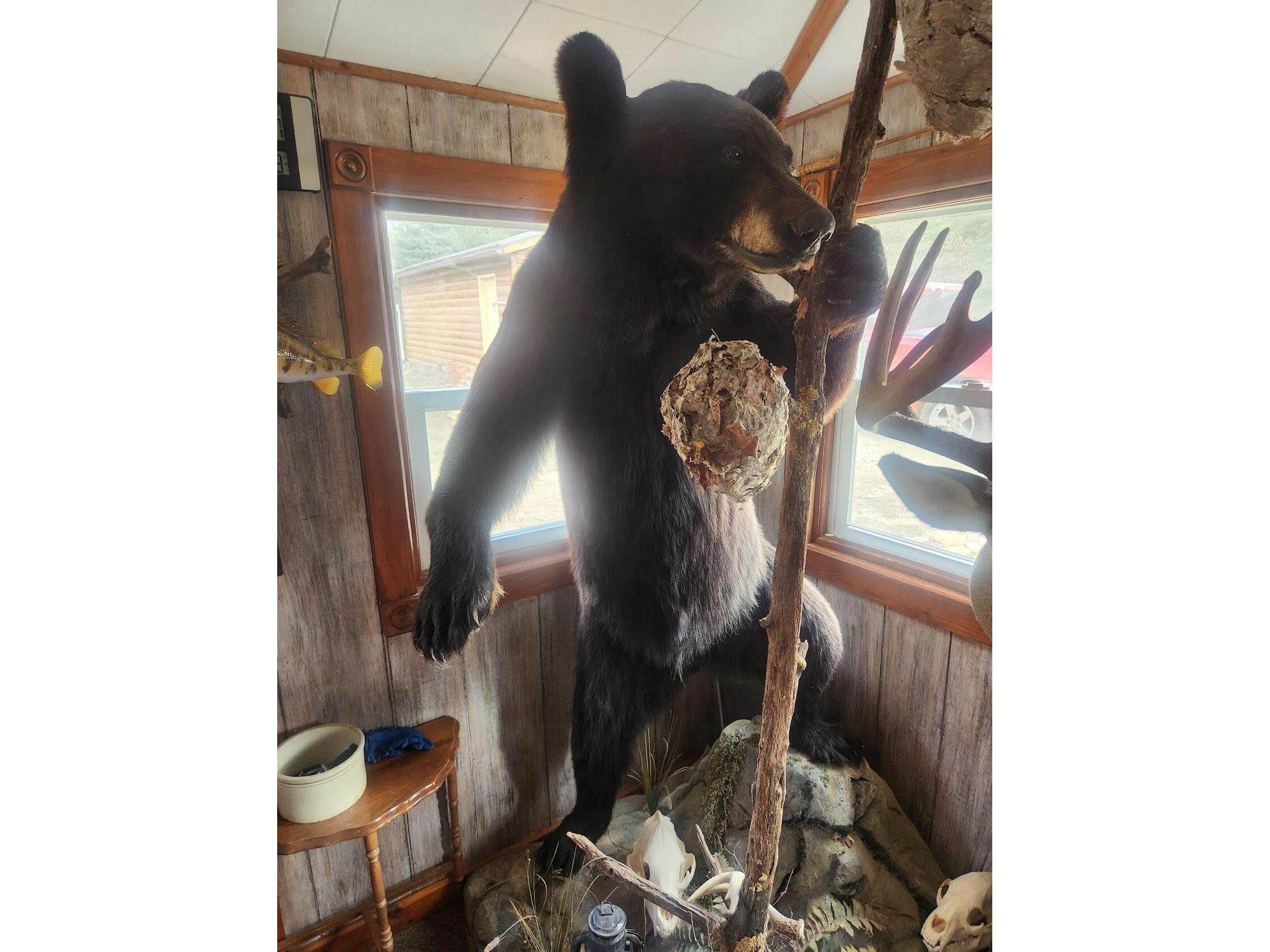 2358 State Hwy 71 Little Falls WI 54656 1959361 image30