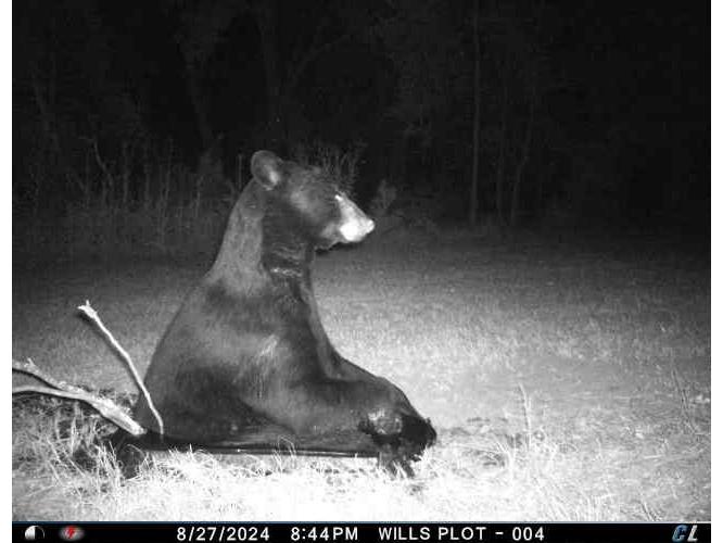 2358 State Hwy 71 Little Falls WI 54656 1959361 image7