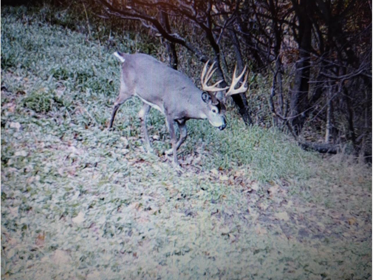 25005 Norhardt Wellington WI 54651 1942791 image2