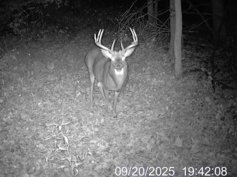 25005 Norhardt Wellington WI 54651 1942791 image30