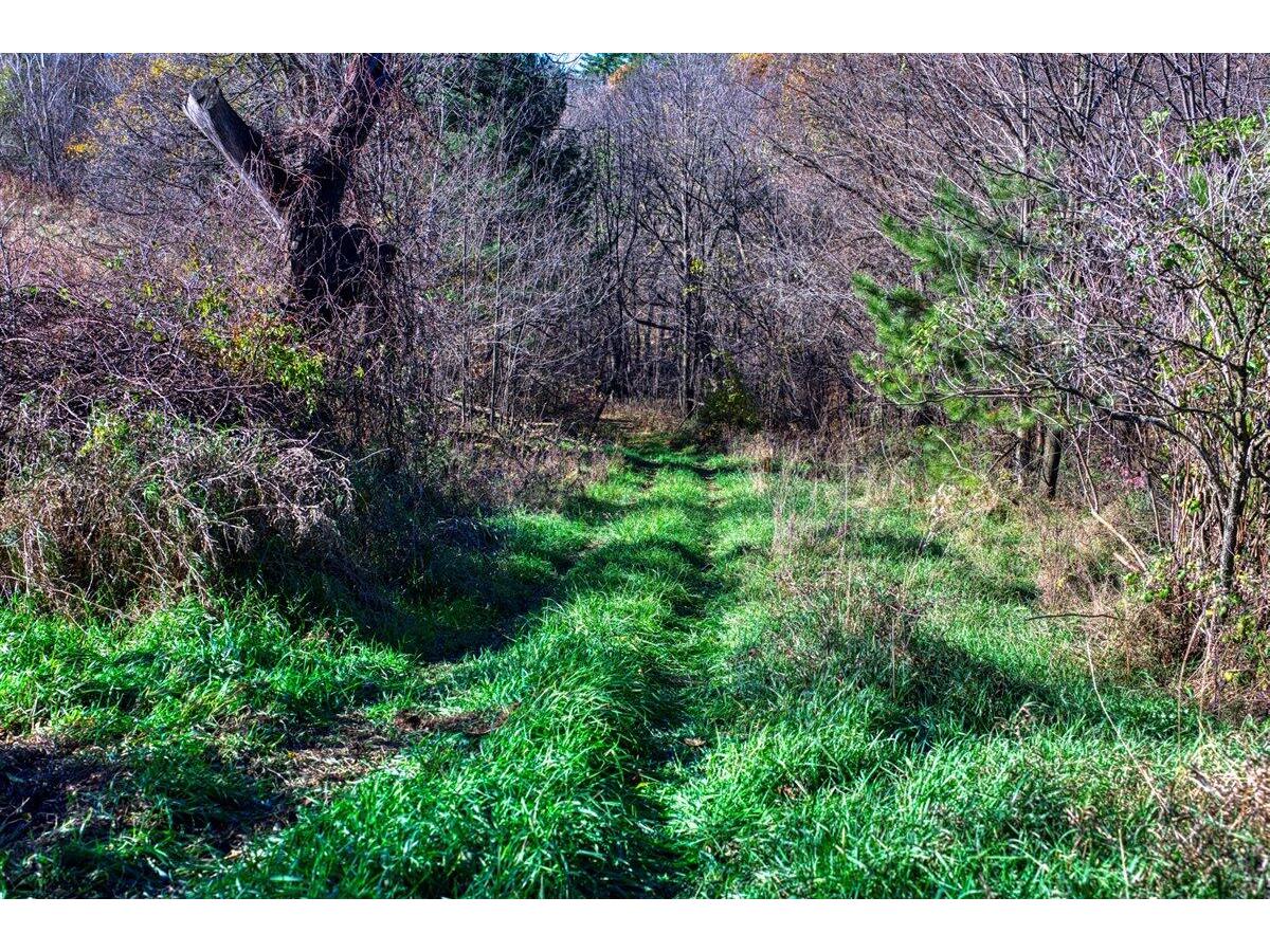 25005 Norhardt Wellington WI 54651 1942791 image33