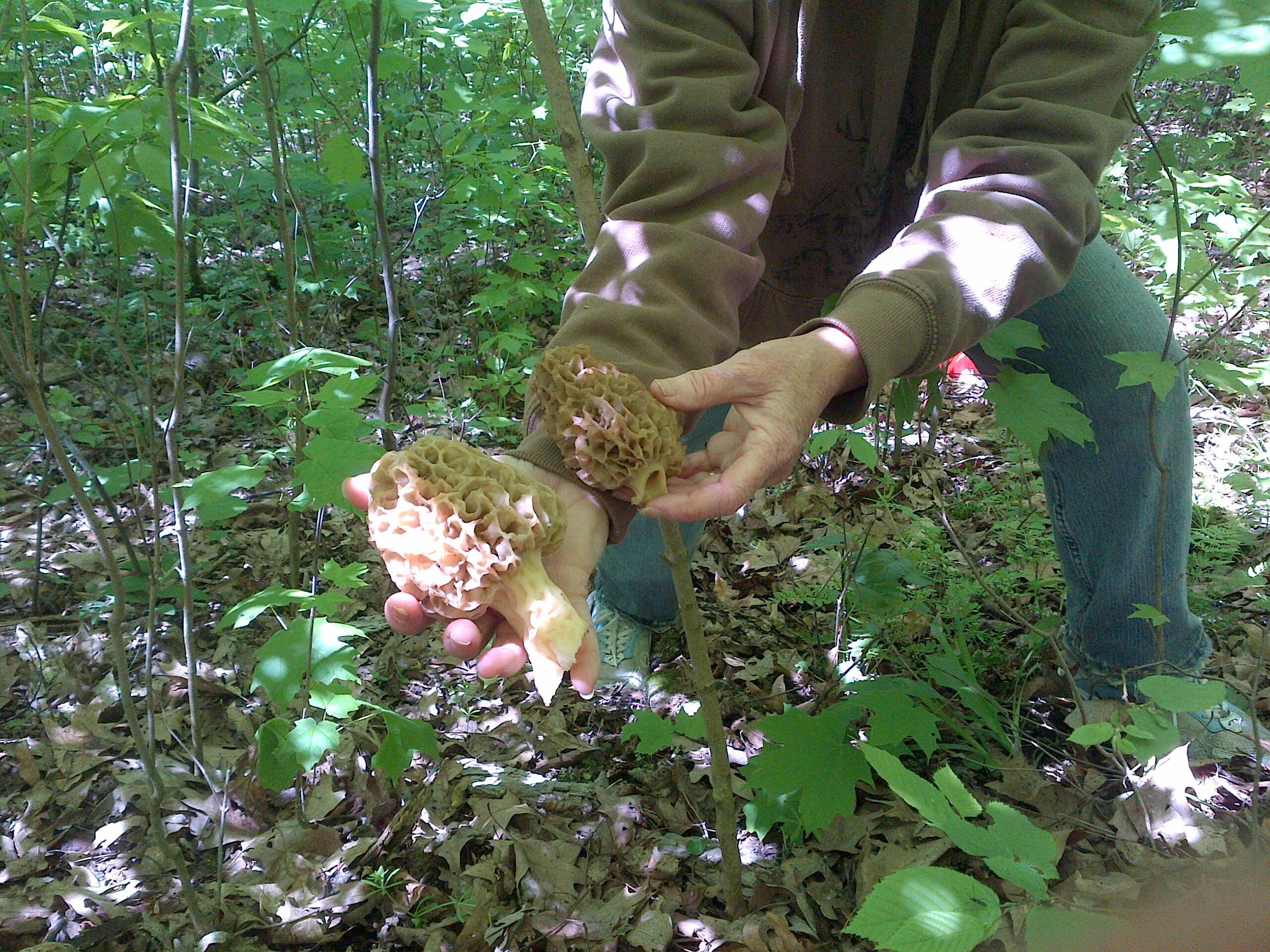 25005 Norhardt Wellington WI 54651 1942791 image34