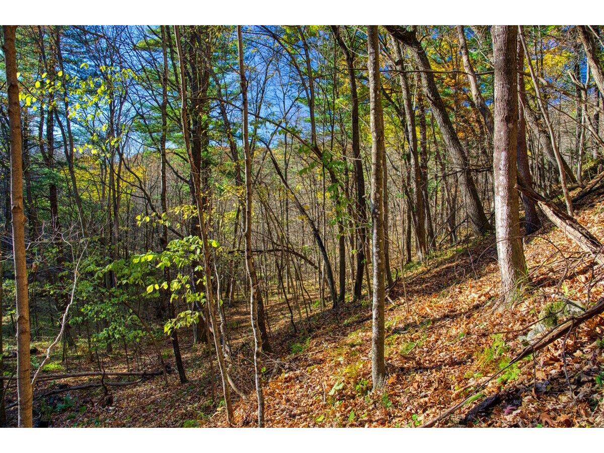 25005 Norhardt Wellington WI 54651 1942791 image36