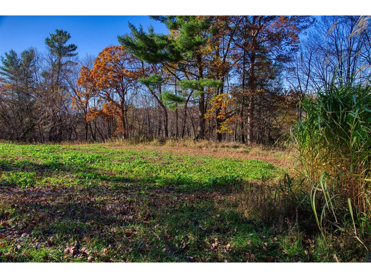 25005 Norhardt Wellington WI 54651 1942791 image37