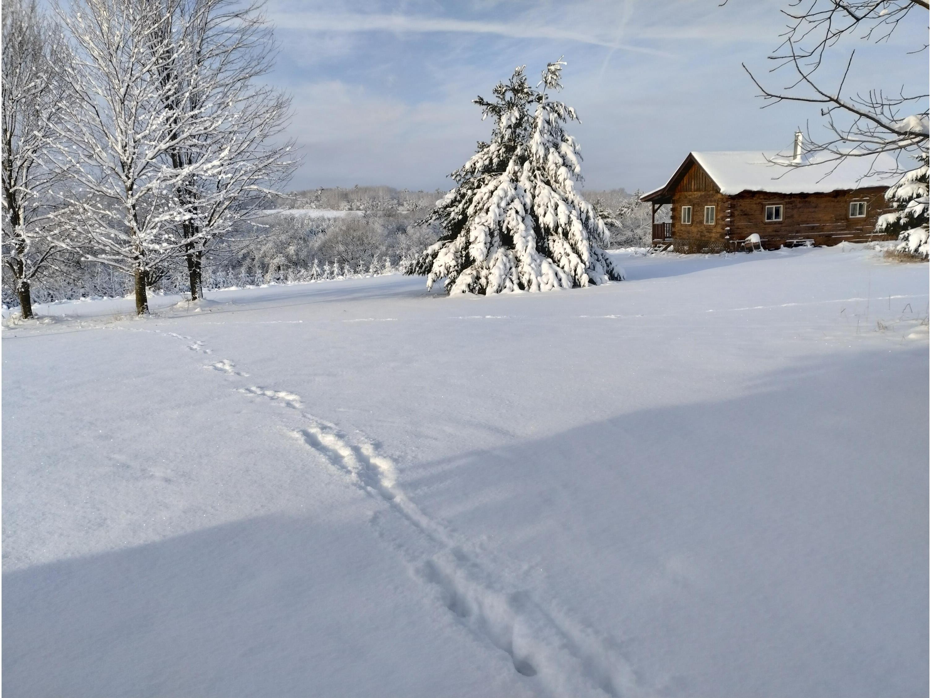 25005 Norhardt Wellington WI 54651 1942791 image4