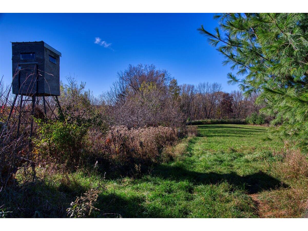 25005 Norhardt Wellington WI 54651 1942791 image6