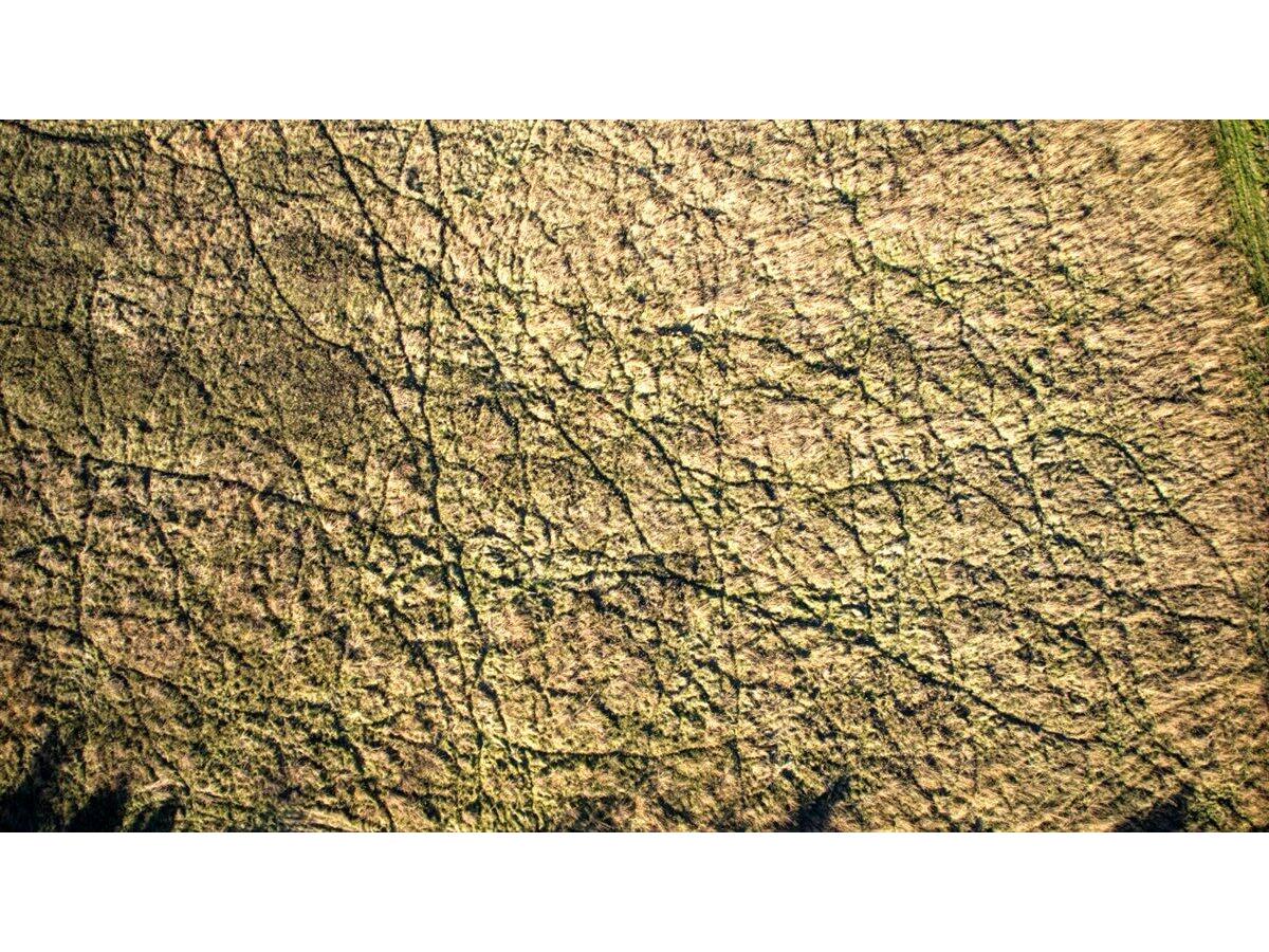 25024 Norhardt Wellington WI 54651 1942889 image102