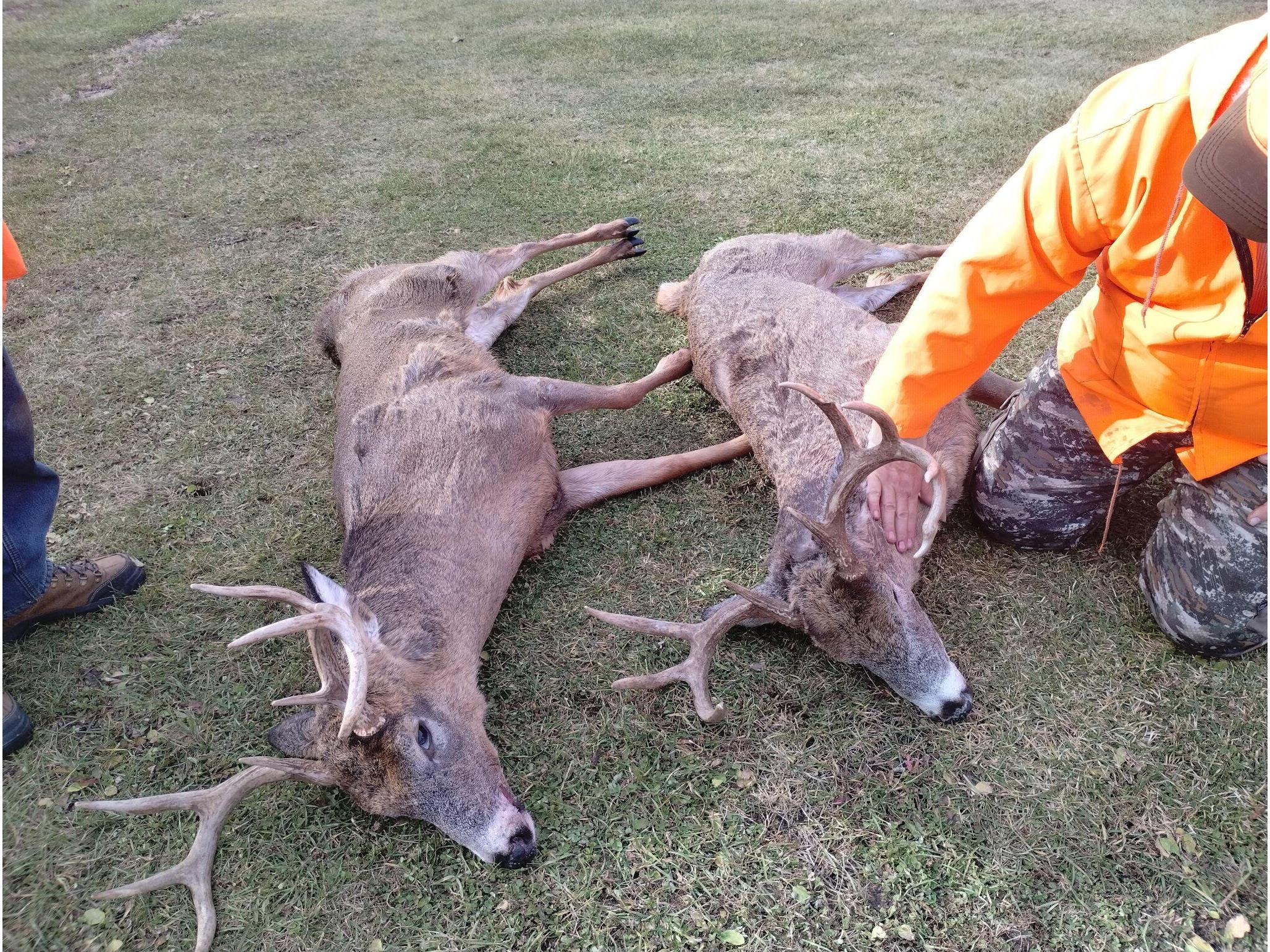 25024 Norhardt Wellington WI 54651 1942889 image110