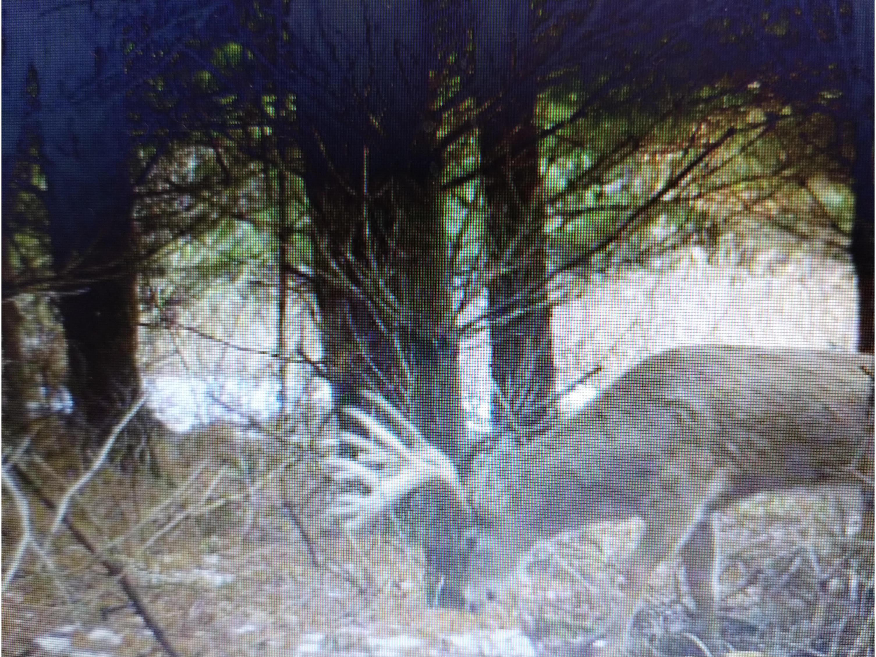 25024 Norhardt Wellington WI 54651 1942889 image112