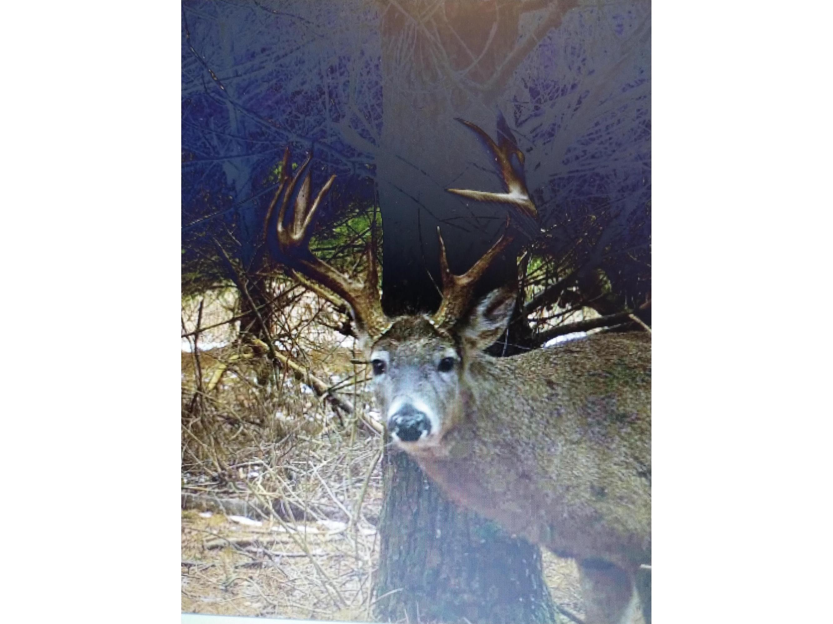 25024 Norhardt Wellington WI 54651 1942889 image113