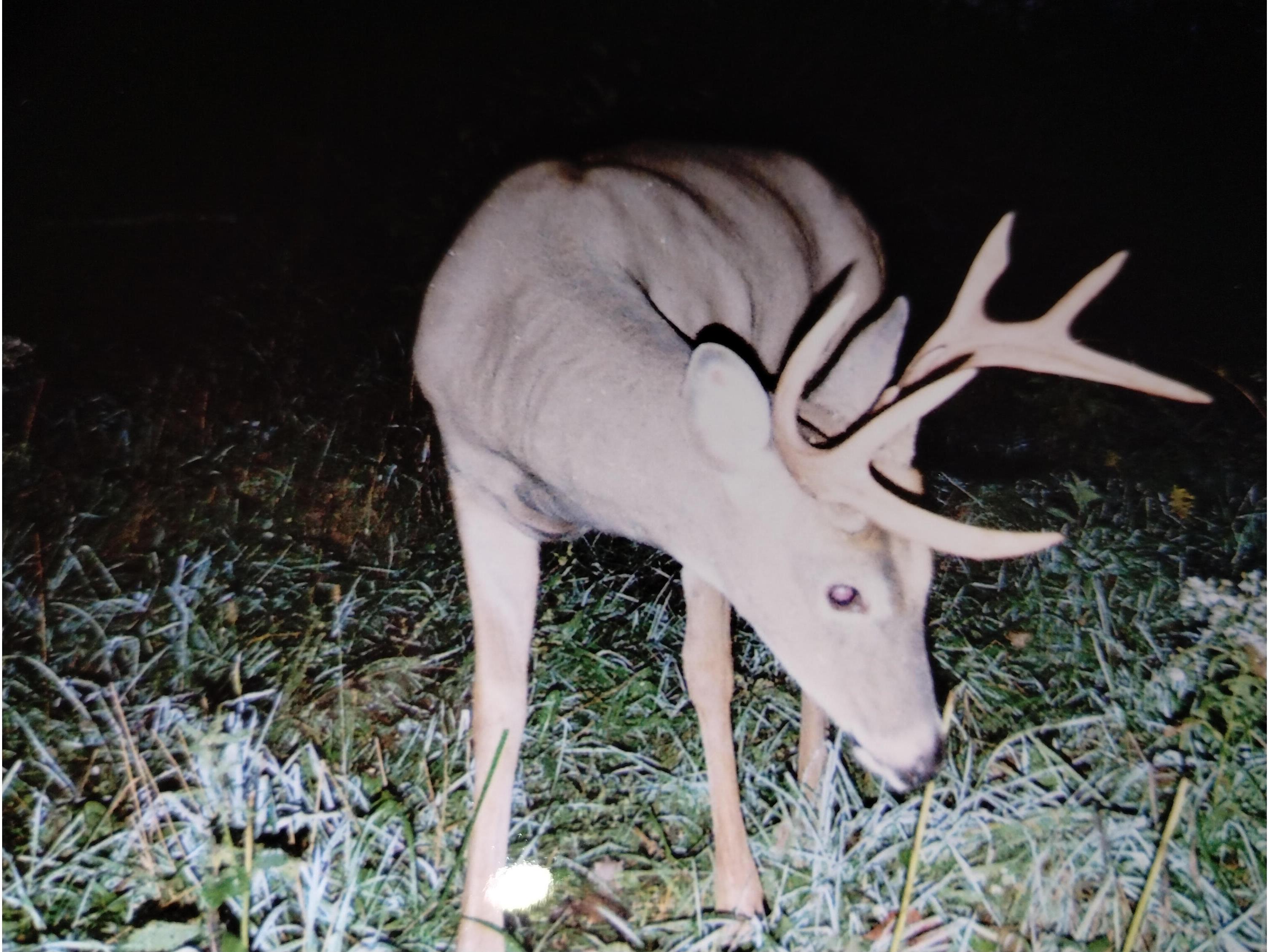 25024 Norhardt Wellington WI 54651 1942889 image114