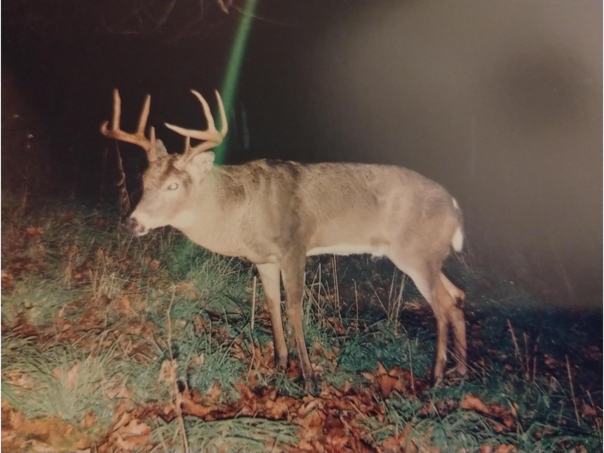 25024 Norhardt Wellington WI 54651 1942889 image115