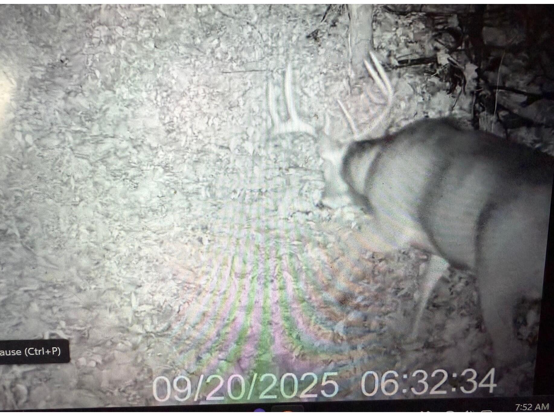 25024 Norhardt Wellington WI 54651 1942889 image116