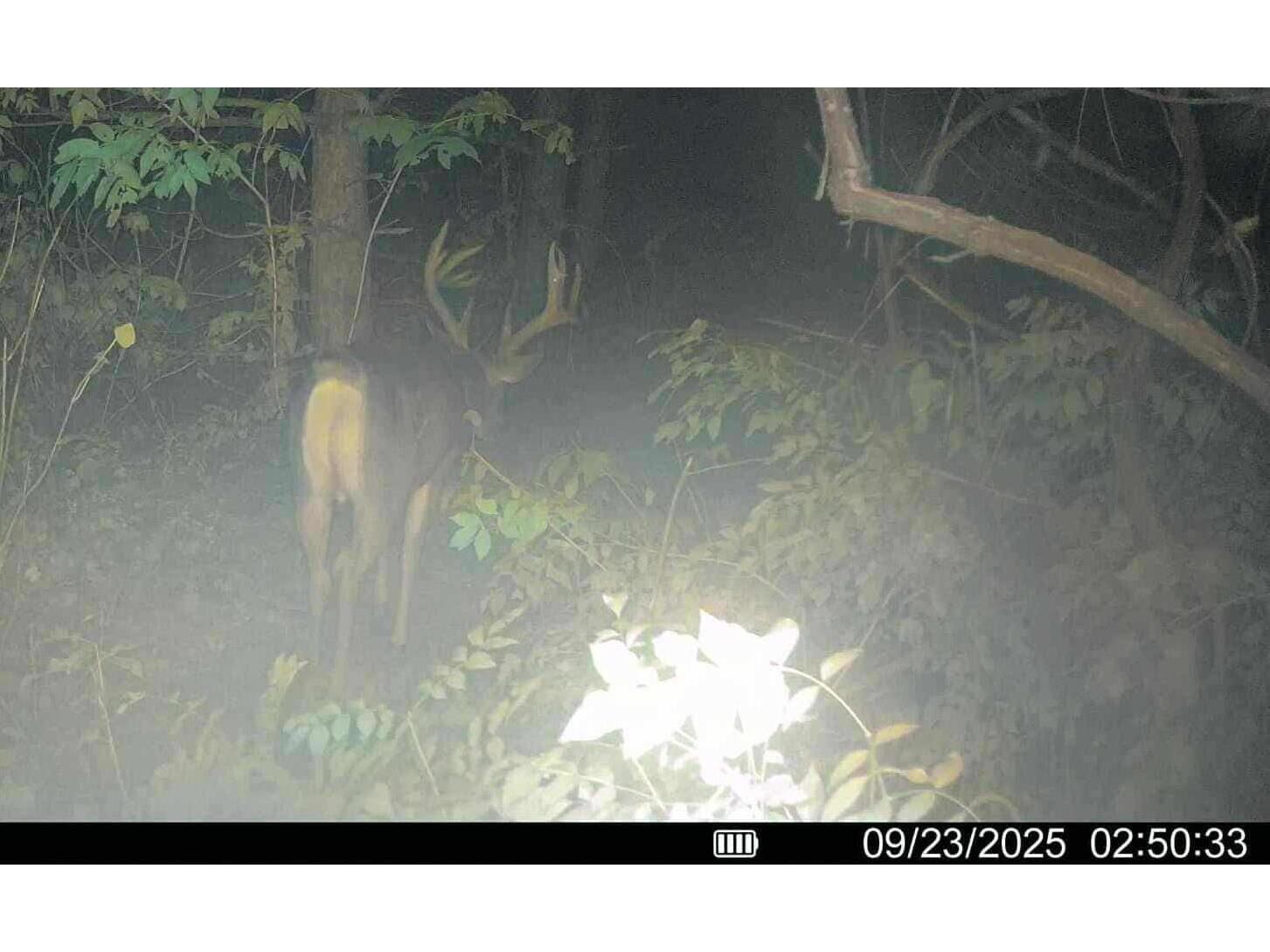 25024 Norhardt Wellington WI 54651 1942889 image117