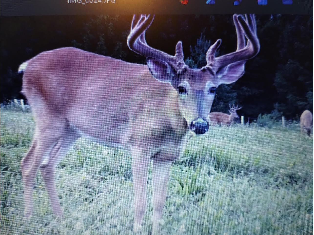 25024 Norhardt Wellington WI 54651 1942889 image119