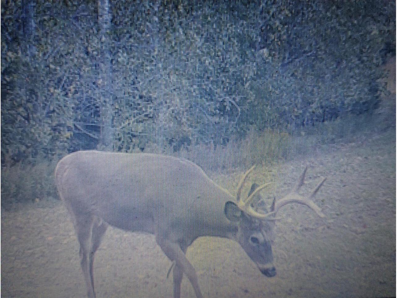 25024 Norhardt Wellington WI 54651 1942889 image120