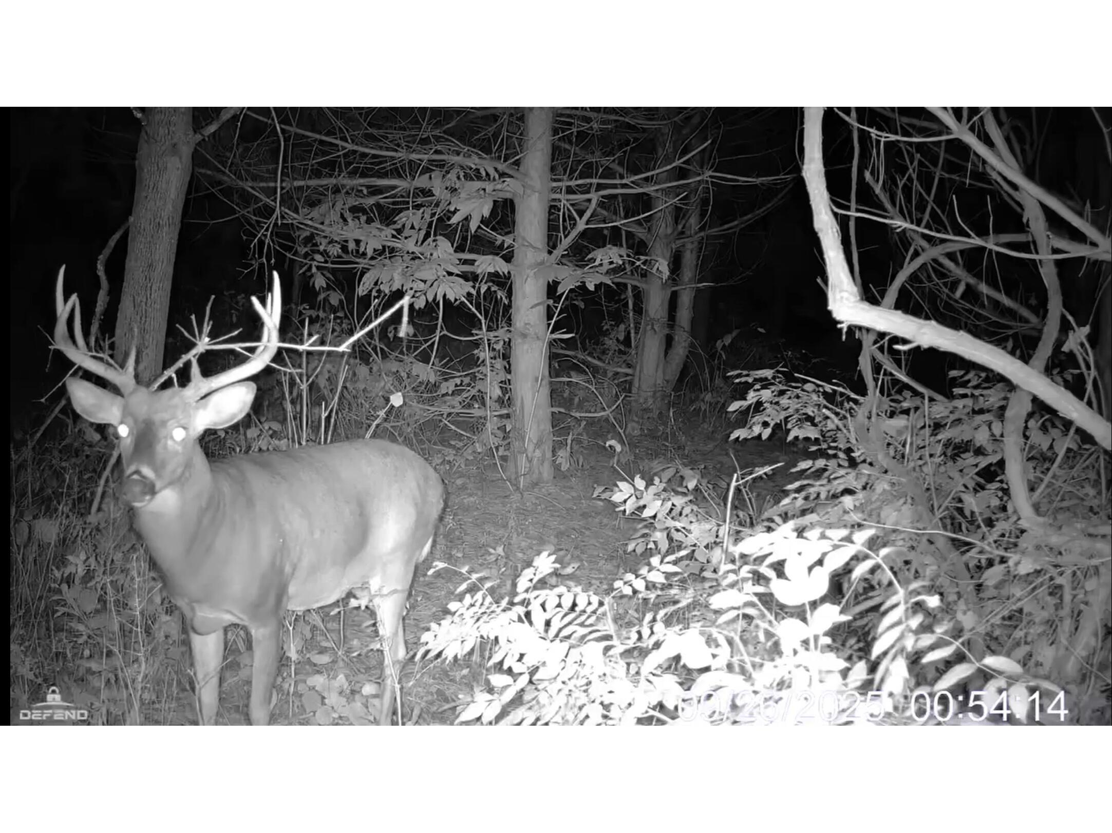 25024 Norhardt Wellington WI 54651 1942889 image122