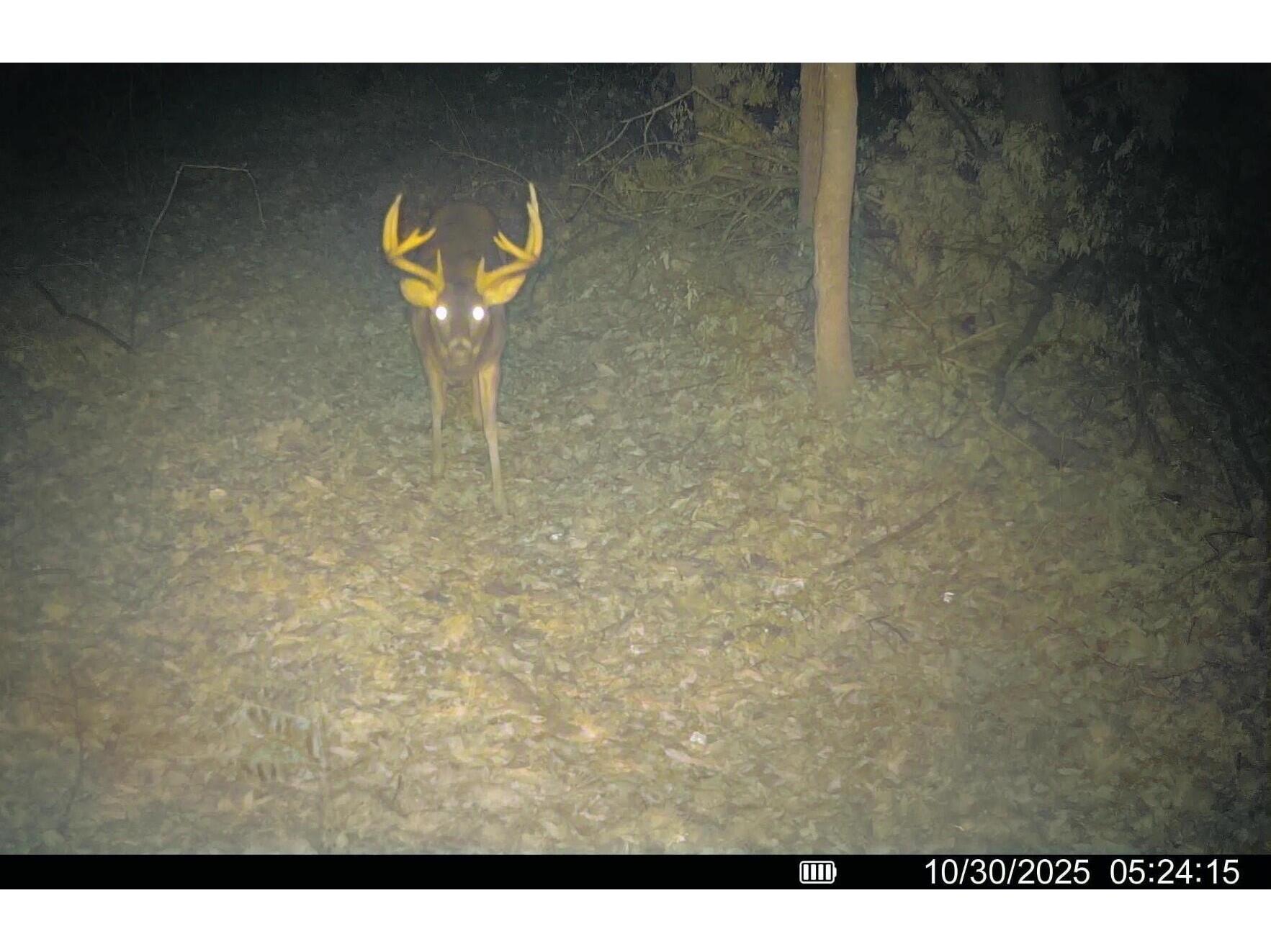 25024 Norhardt Wellington WI 54651 1942889 image123