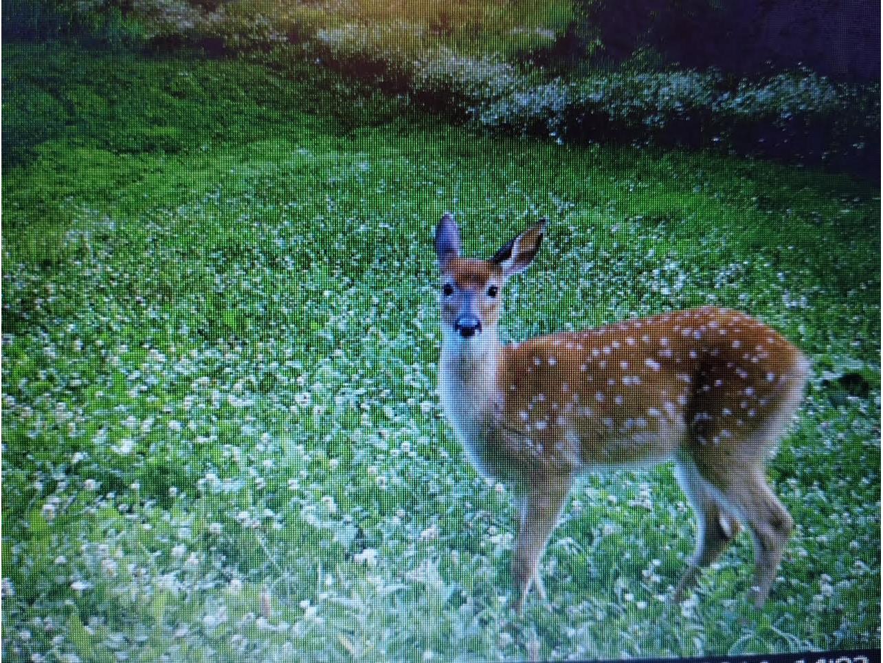 25024 Norhardt Wellington WI 54651 1942889 image124