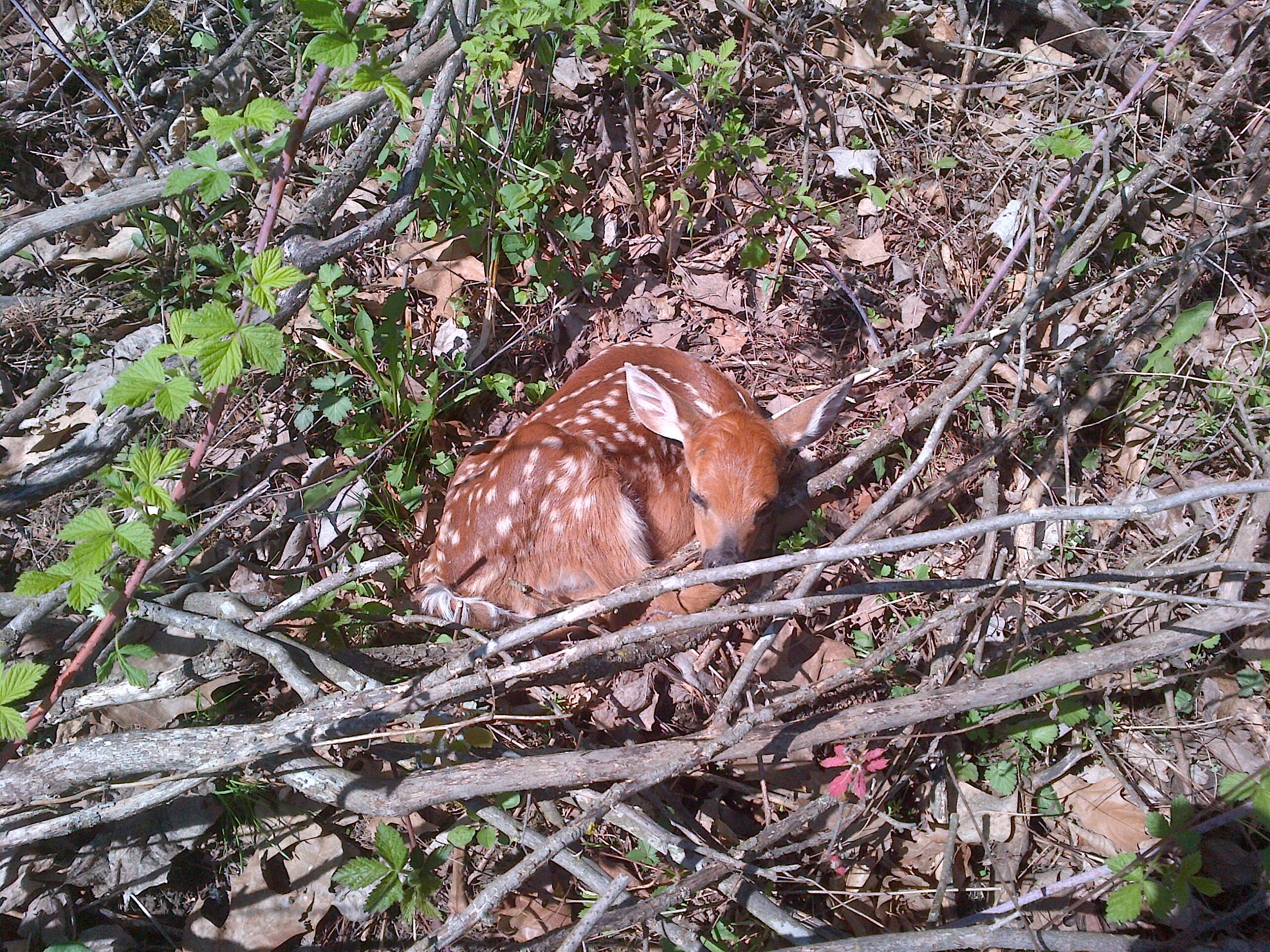 25024 Norhardt Wellington WI 54651 1942889 image125