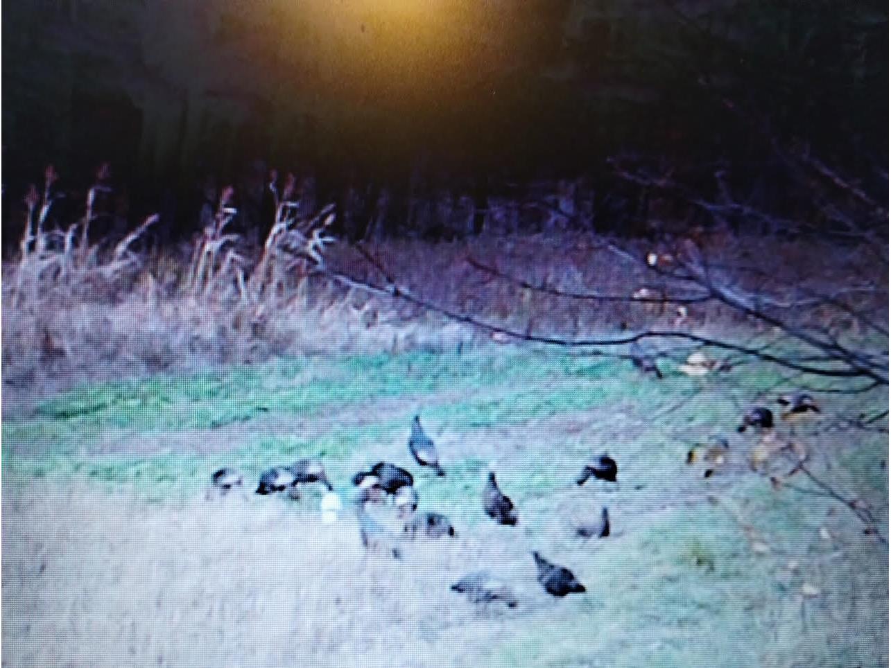 25024 Norhardt Wellington WI 54651 1942889 image127