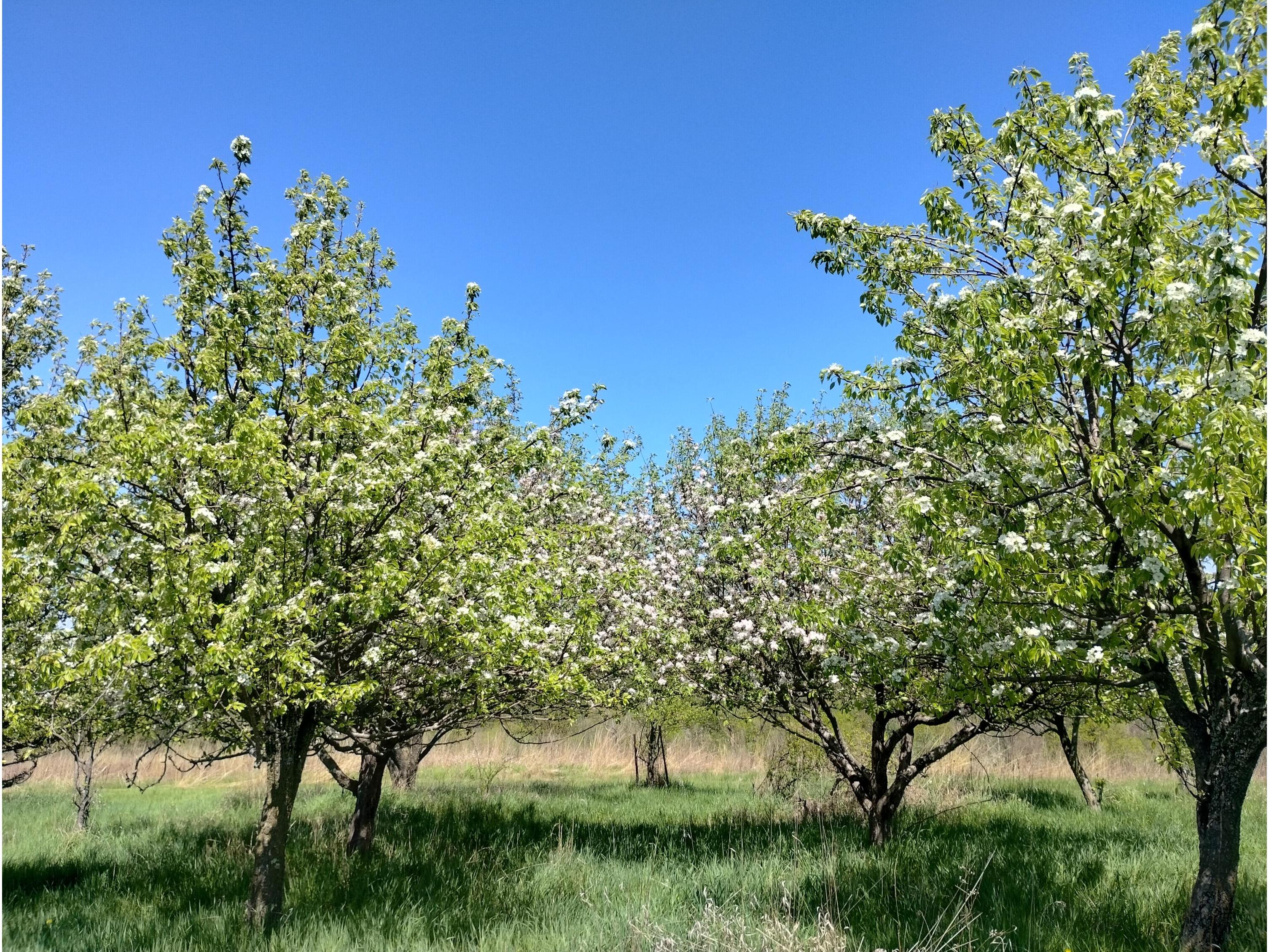 25024 Norhardt Wellington WI 54651 1942889 image128