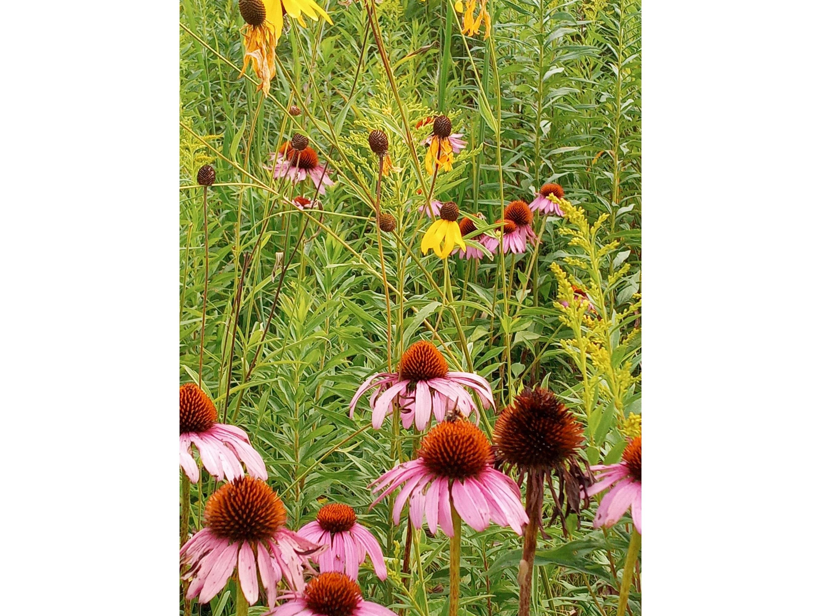 25024 Norhardt Wellington WI 54651 1942889 image129