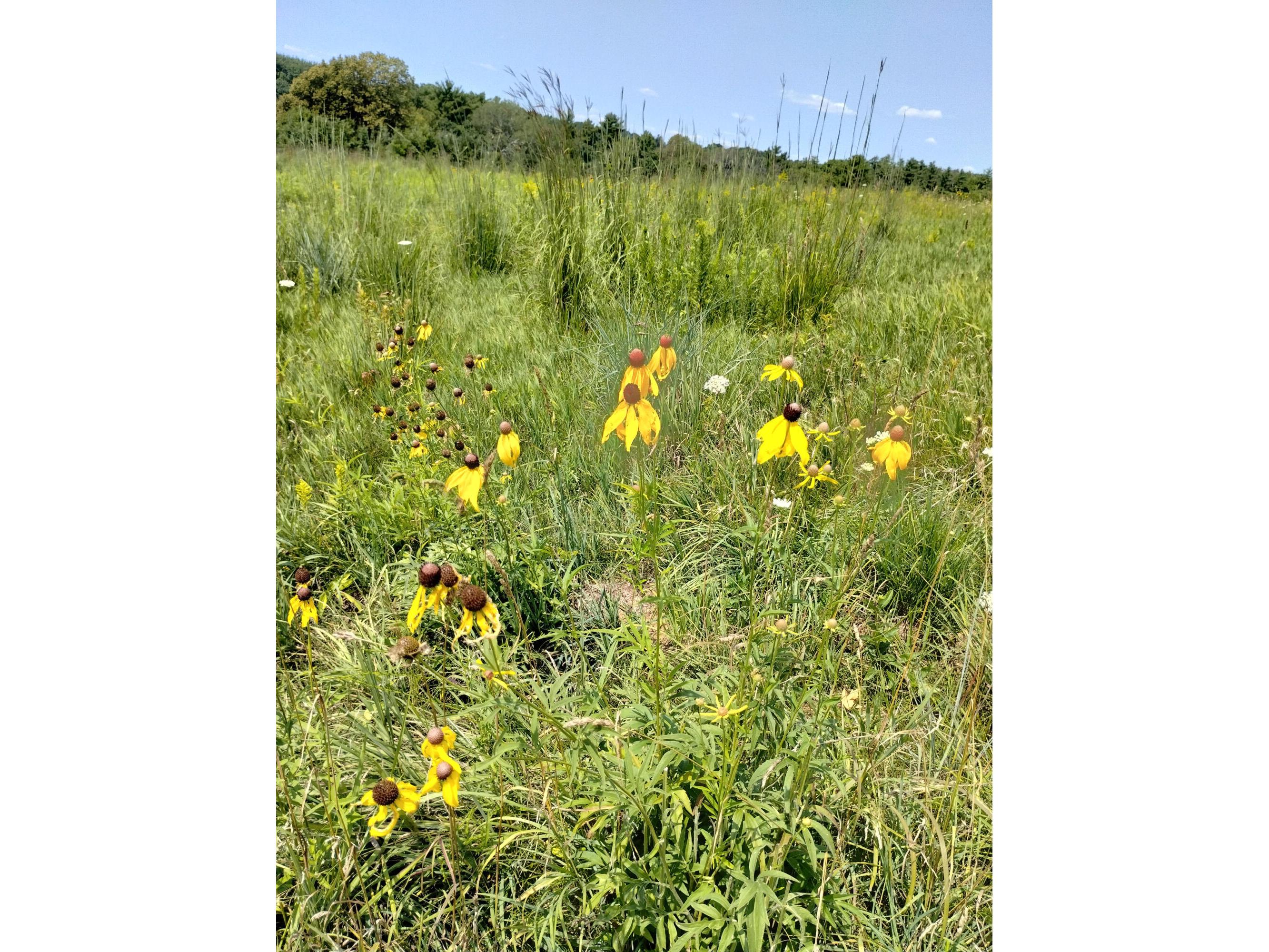 25024 Norhardt Wellington WI 54651 1942889 image130