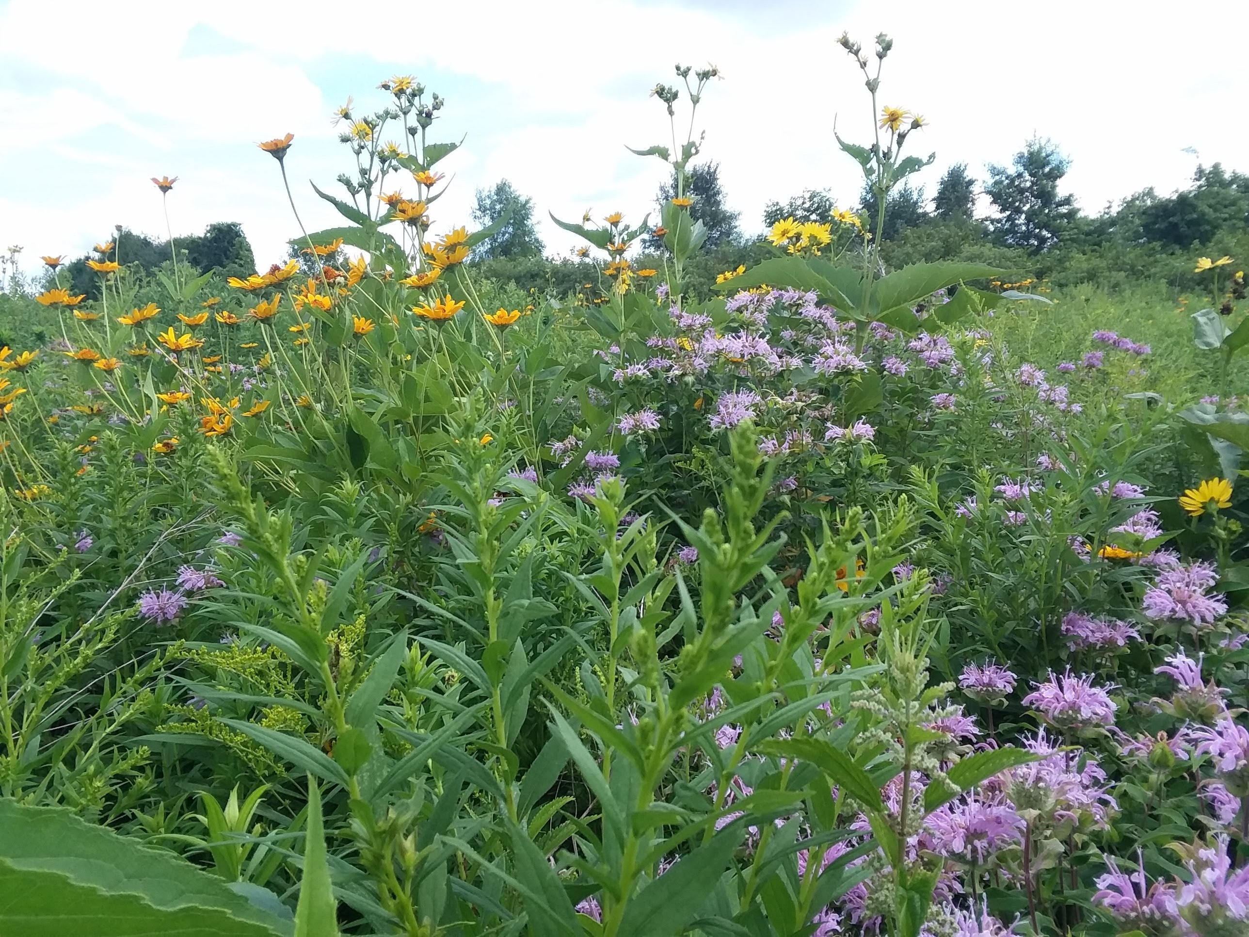 25024 Norhardt Wellington WI 54651 1942889 image131