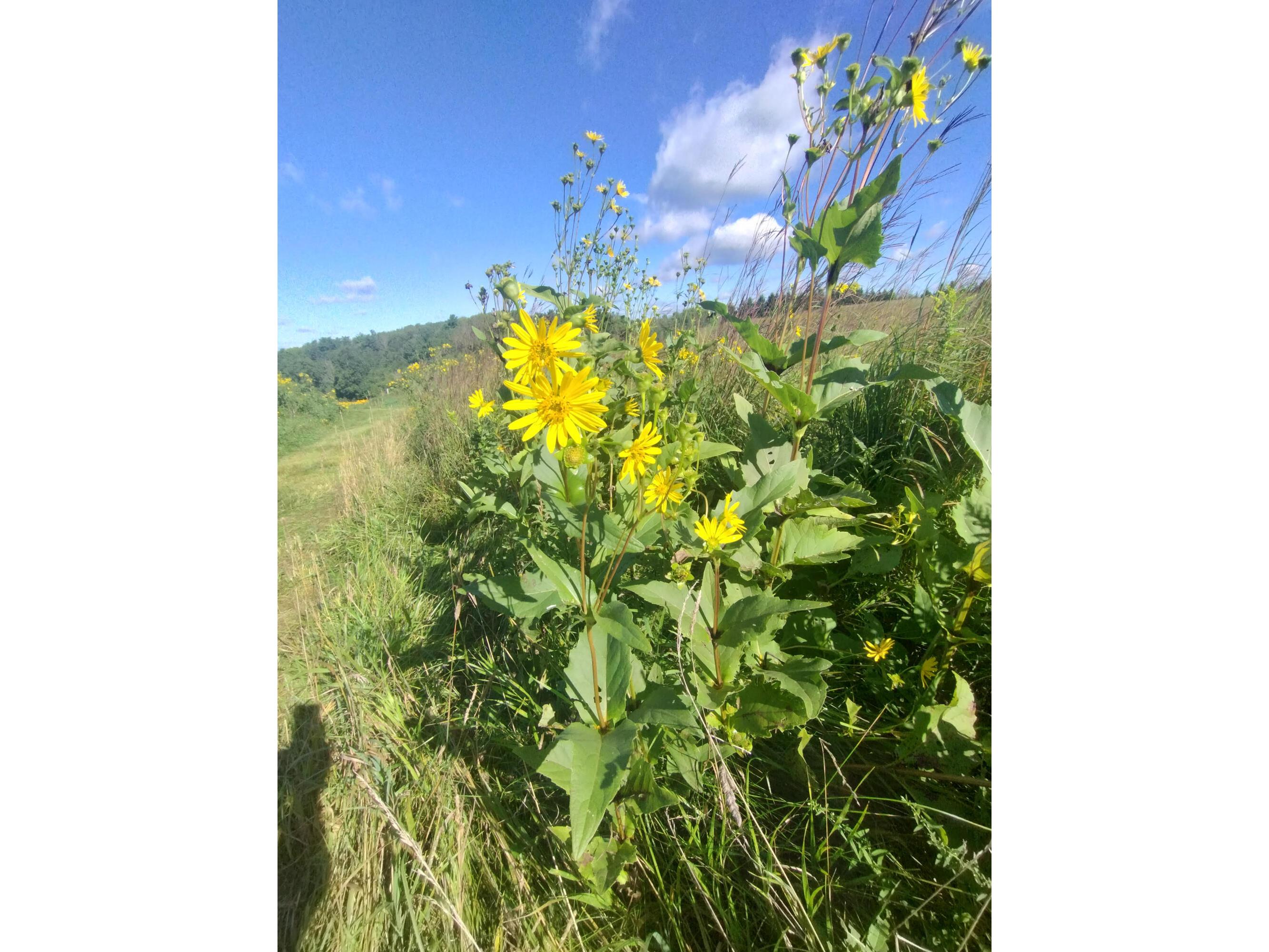 25024 Norhardt Wellington WI 54651 1942889 image133