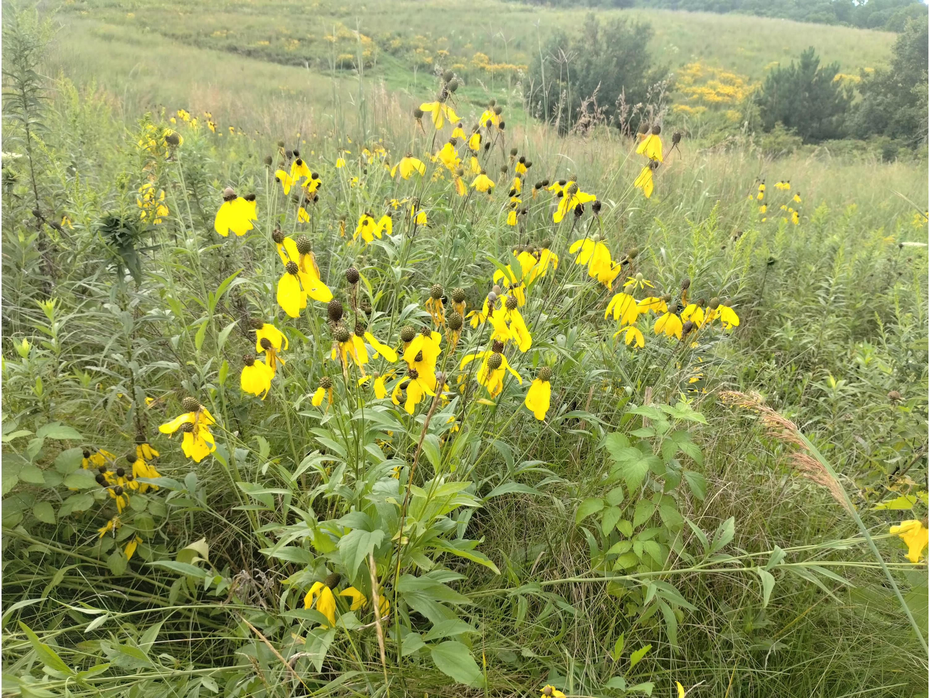 25024 Norhardt Wellington WI 54651 1942889 image134