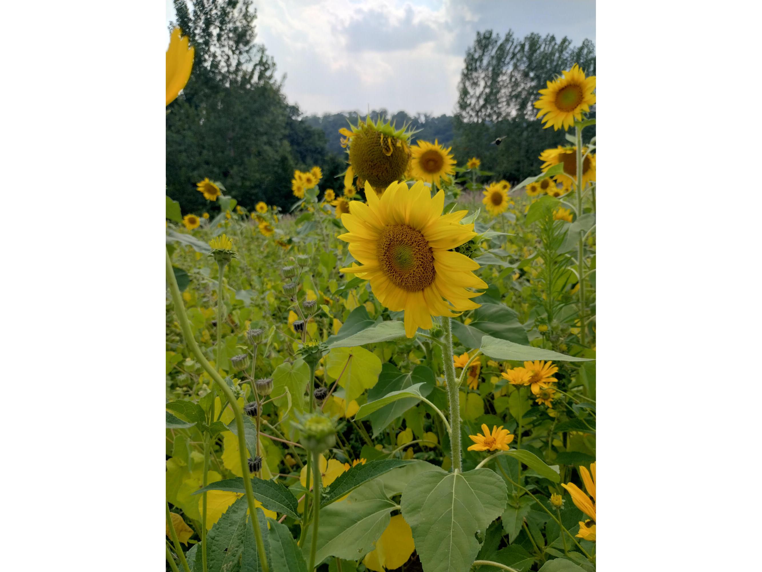 25024 Norhardt Wellington WI 54651 1942889 image135