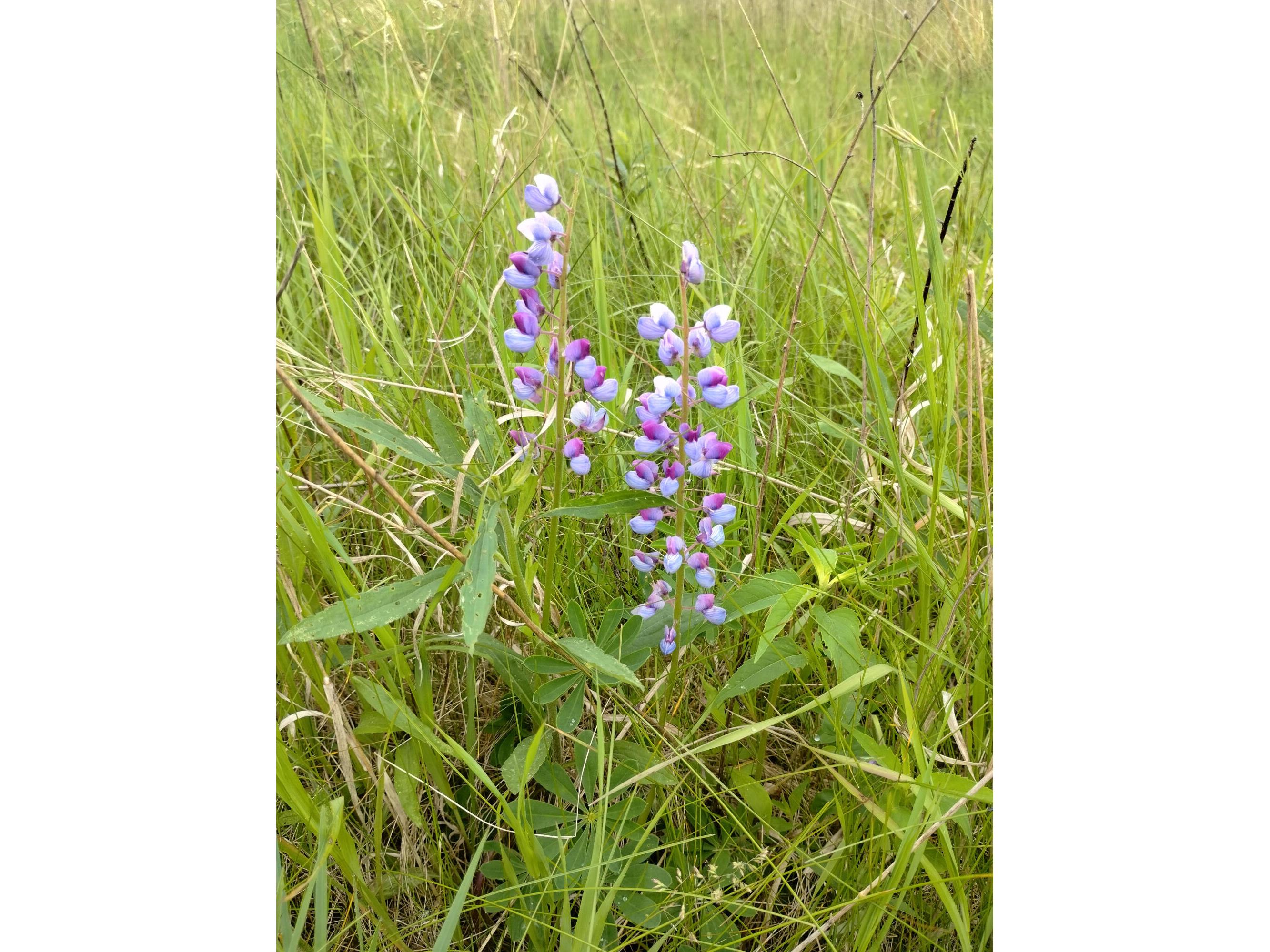 25024 Norhardt Wellington WI 54651 1942889 image136