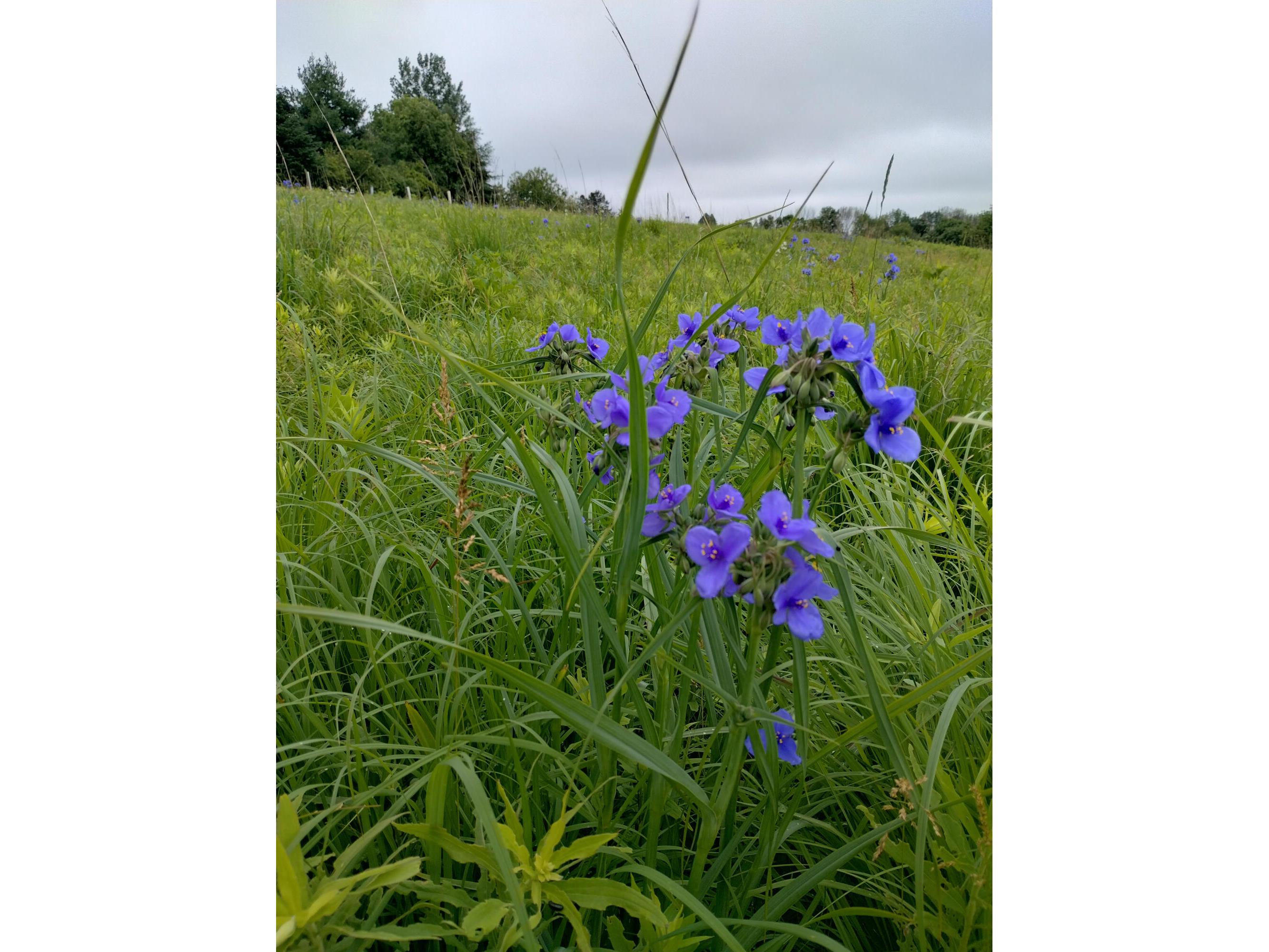 25024 Norhardt Wellington WI 54651 1942889 image137