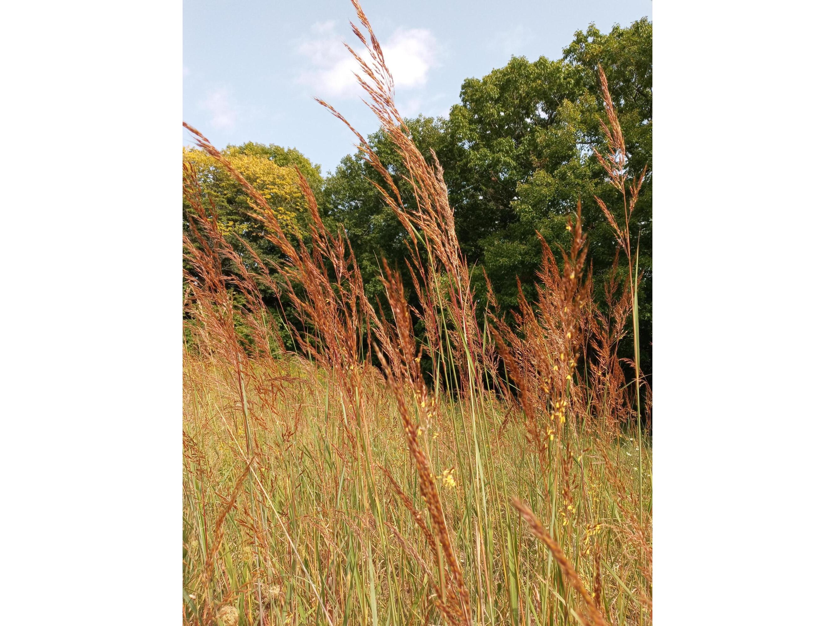 25024 Norhardt Wellington WI 54651 1942889 image138