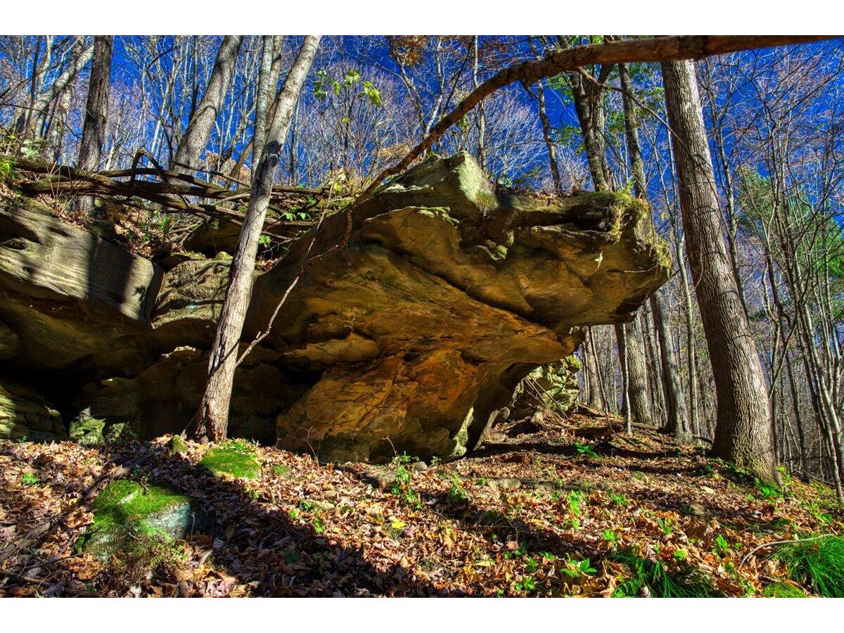 25024 Norhardt Wellington WI 54651 1942889 image2