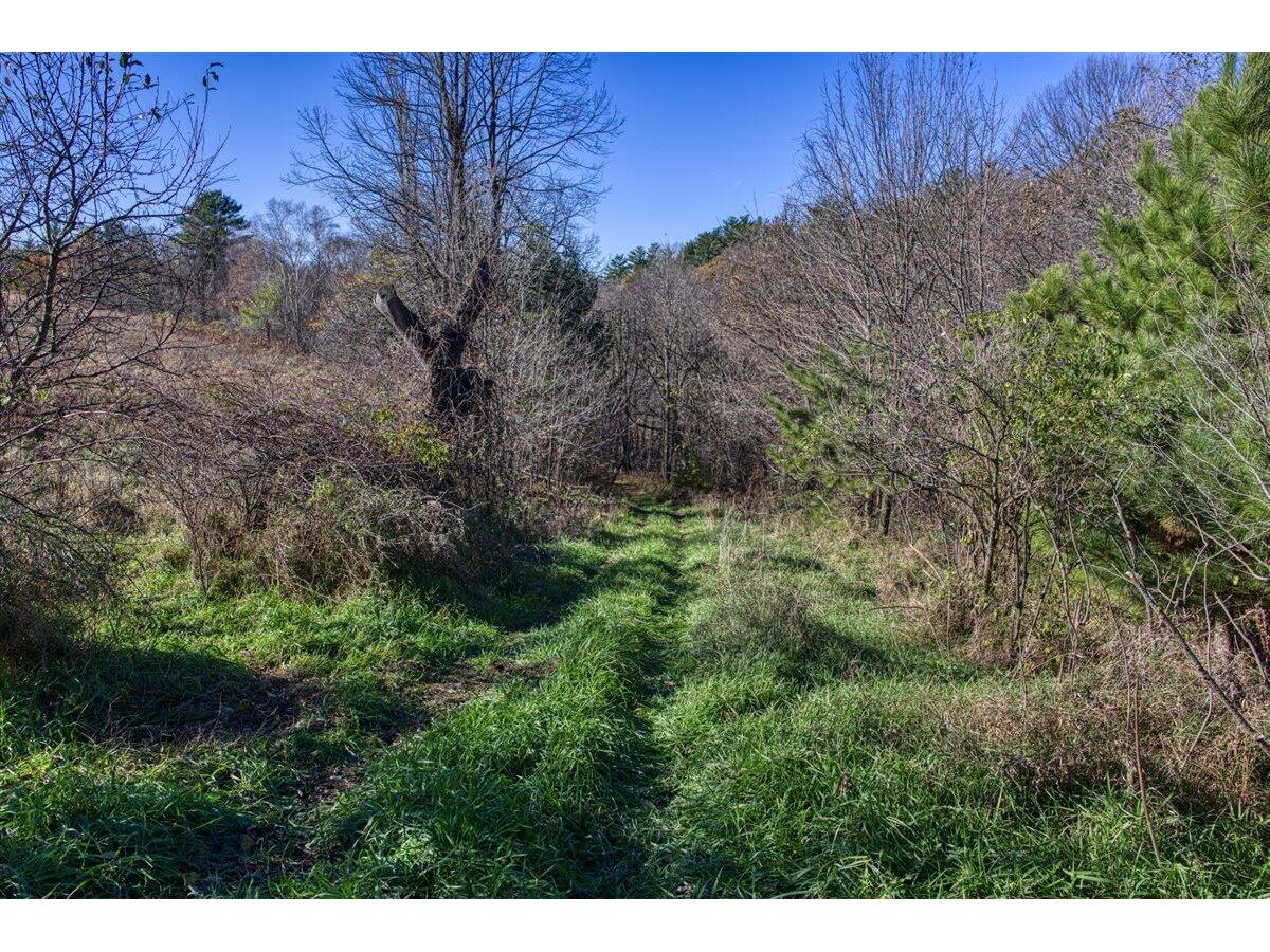 25024 Norhardt Wellington WI 54651 1942889 image3