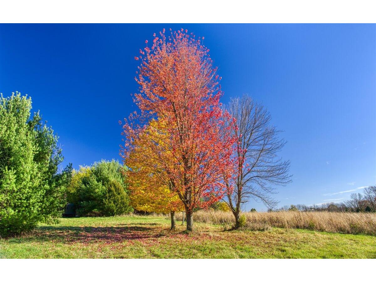 25024 Norhardt Wellington WI 54651 1942889 image37