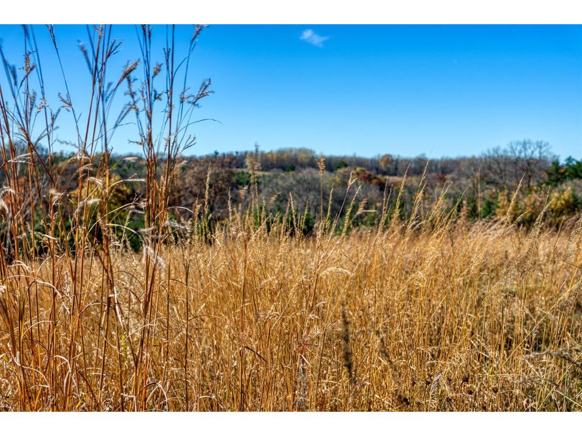 25024 Norhardt Wellington WI 54651 1942889 image38