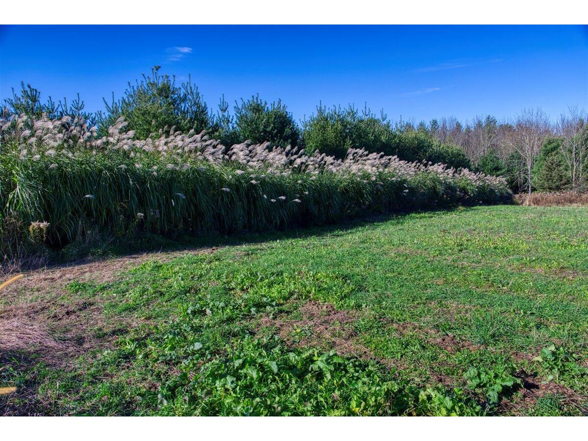 25024 Norhardt Wellington WI 54651 1942889 image40